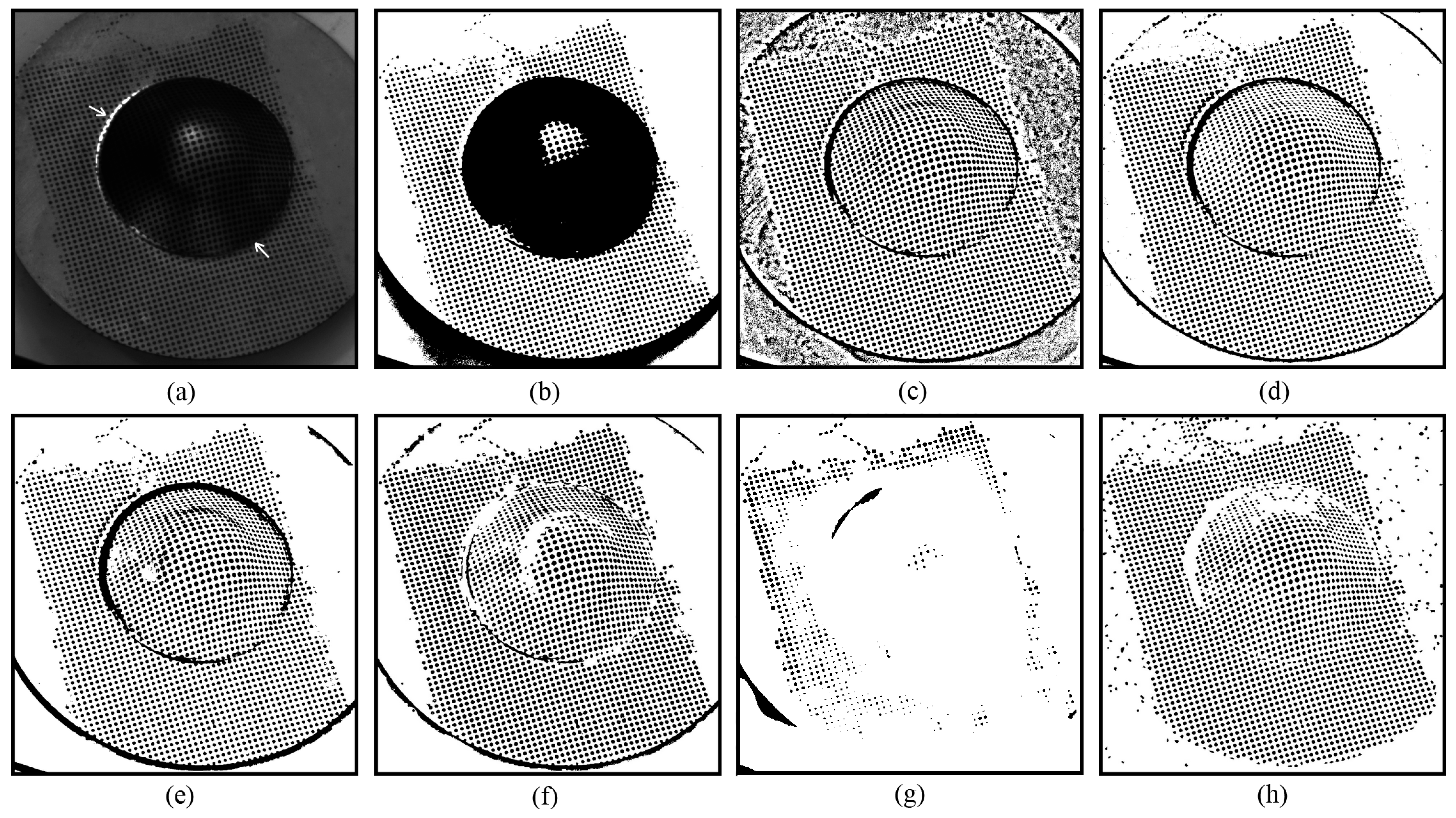 Sensors 25 02158 g007