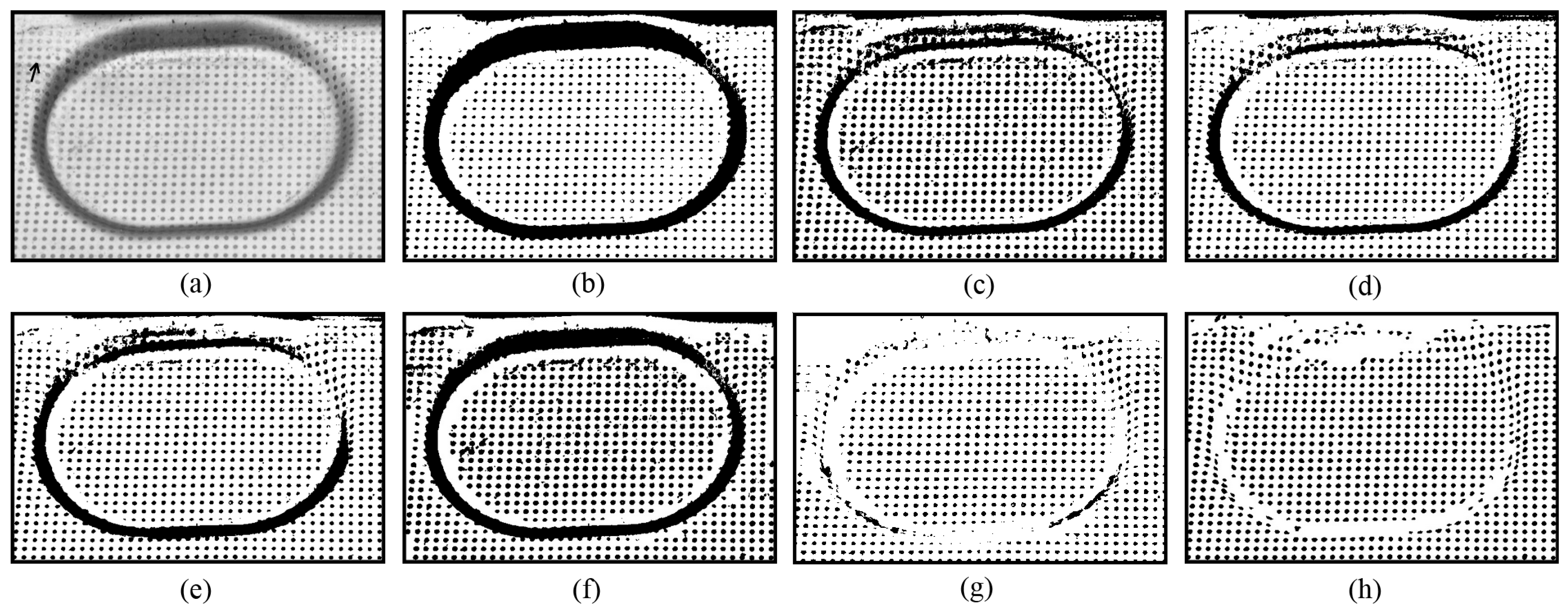 Sensors 25 02158 g008