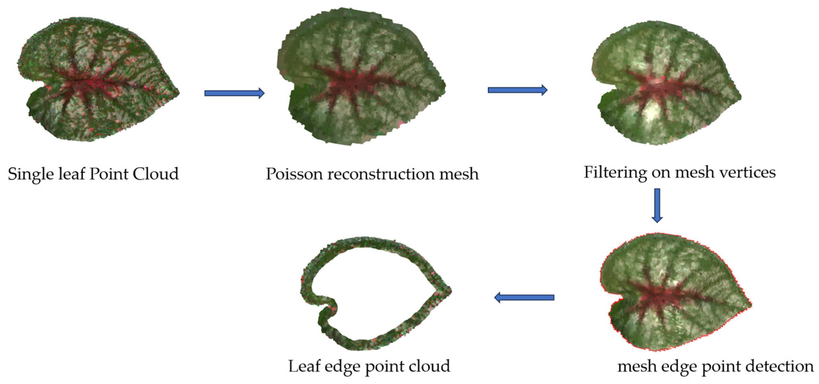 Sensors 25 02177 g008