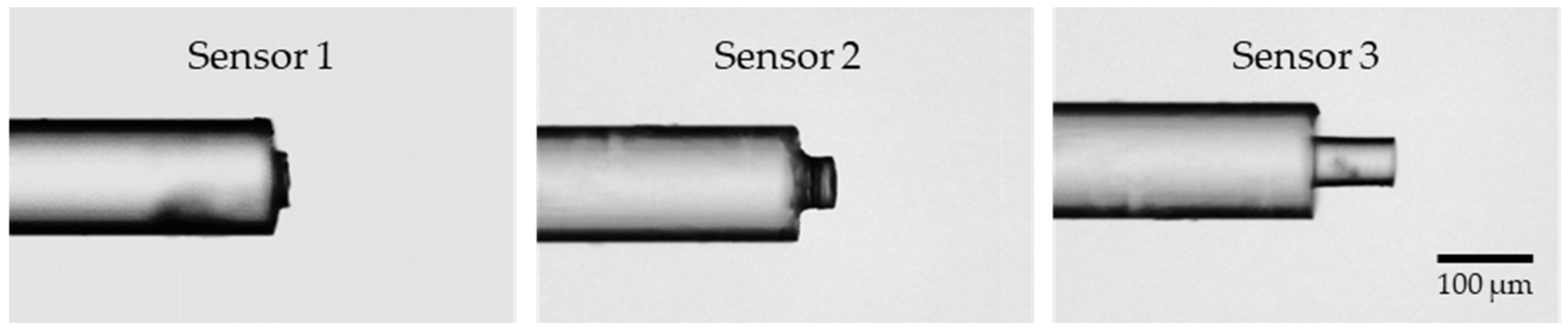 Sensors 25 02178 g003