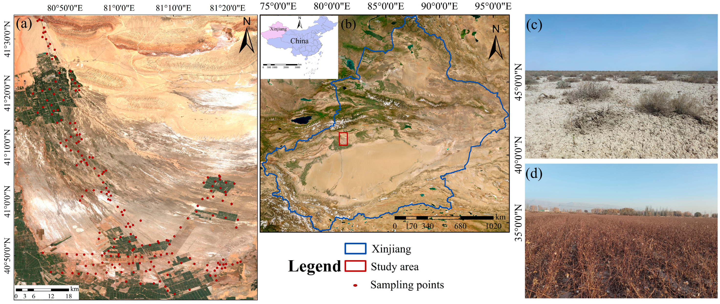 Sensors 25 02184 g001