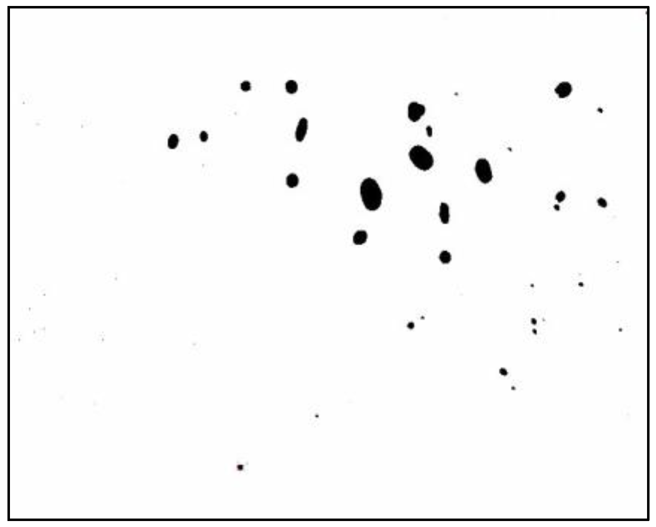 Sensors 25 02186 g007