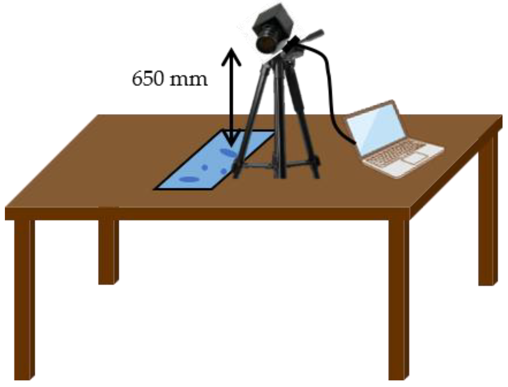 Sensors 25 02186 g009