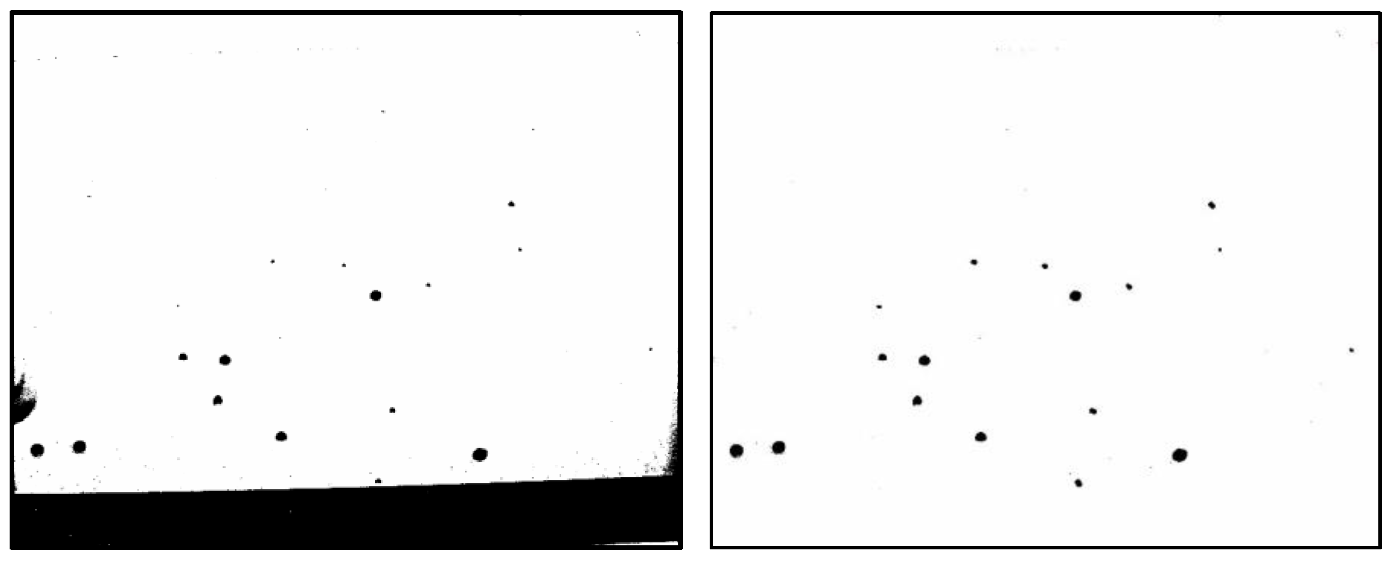 Sensors 25 02186 g010