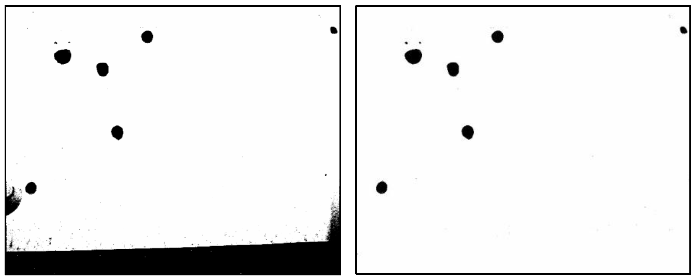 Sensors 25 02186 g011