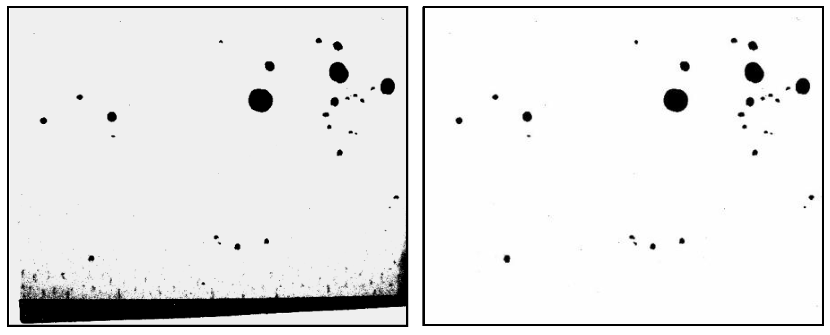 Sensors 25 02186 g012