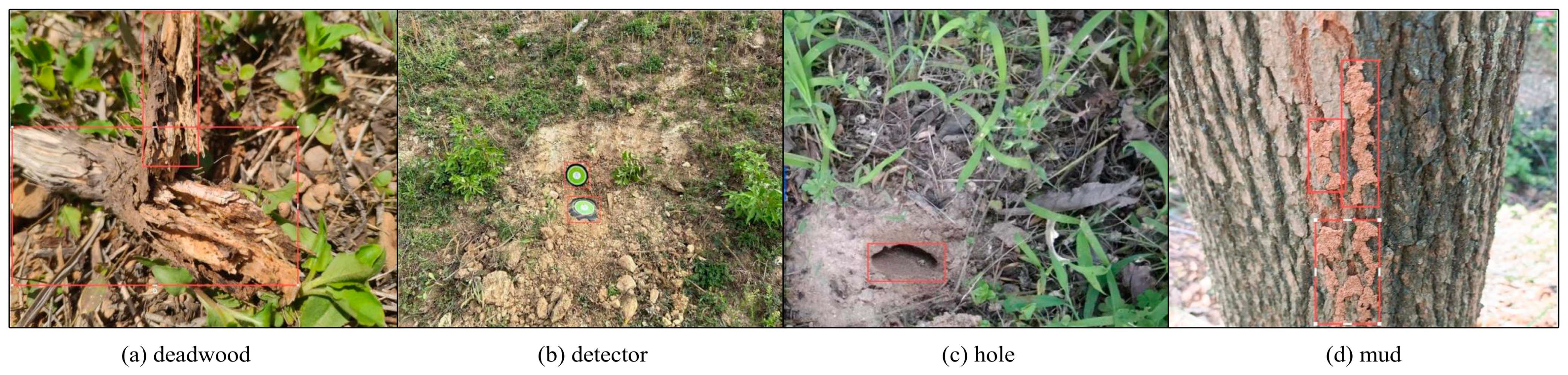 Sensors 25 02199 g001