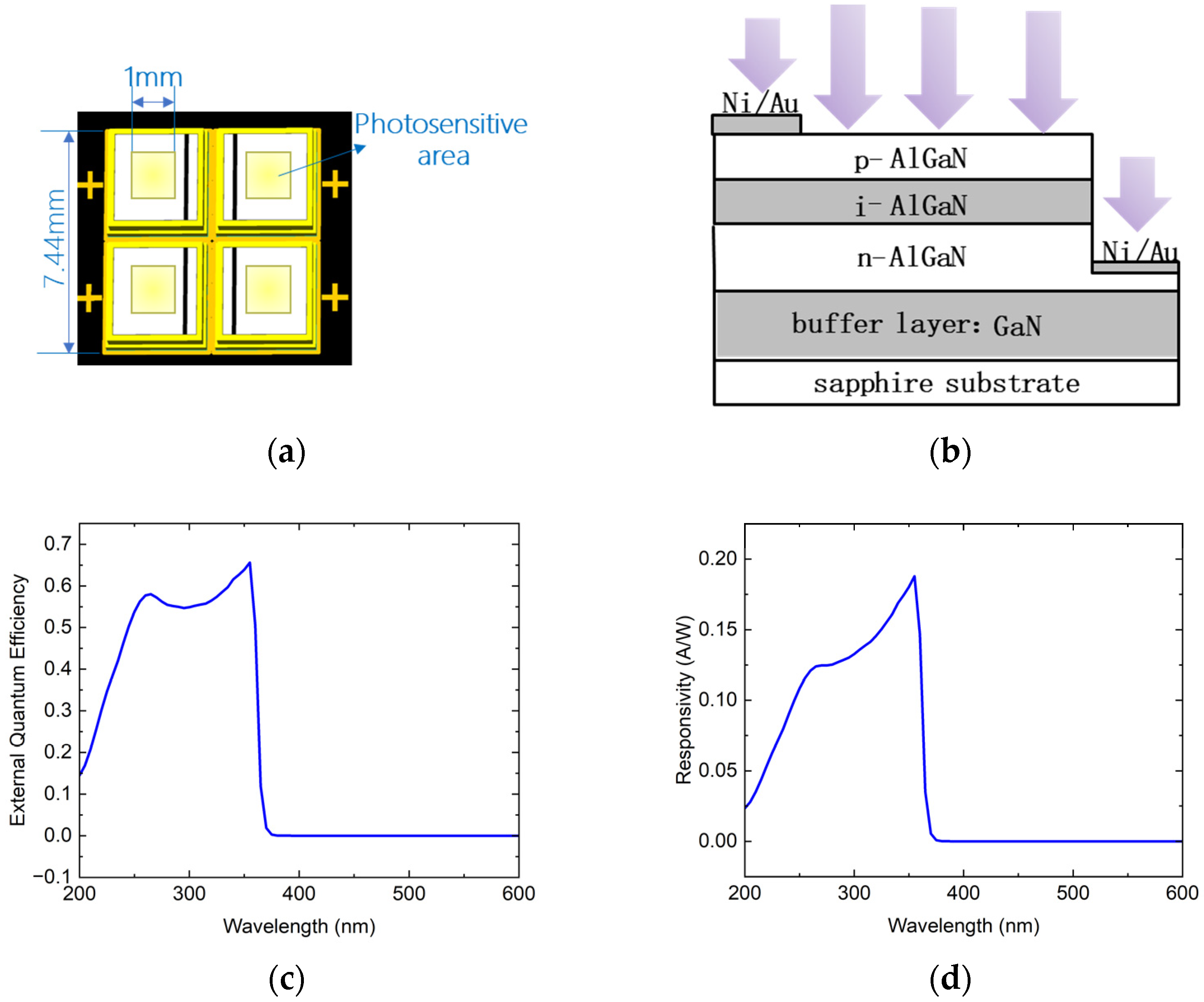 Sensors 25 02206 g001a