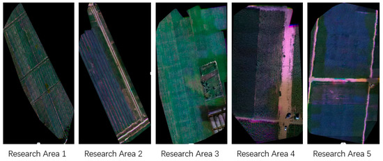 Typical Crop Classification of Agricultural Multispectral
