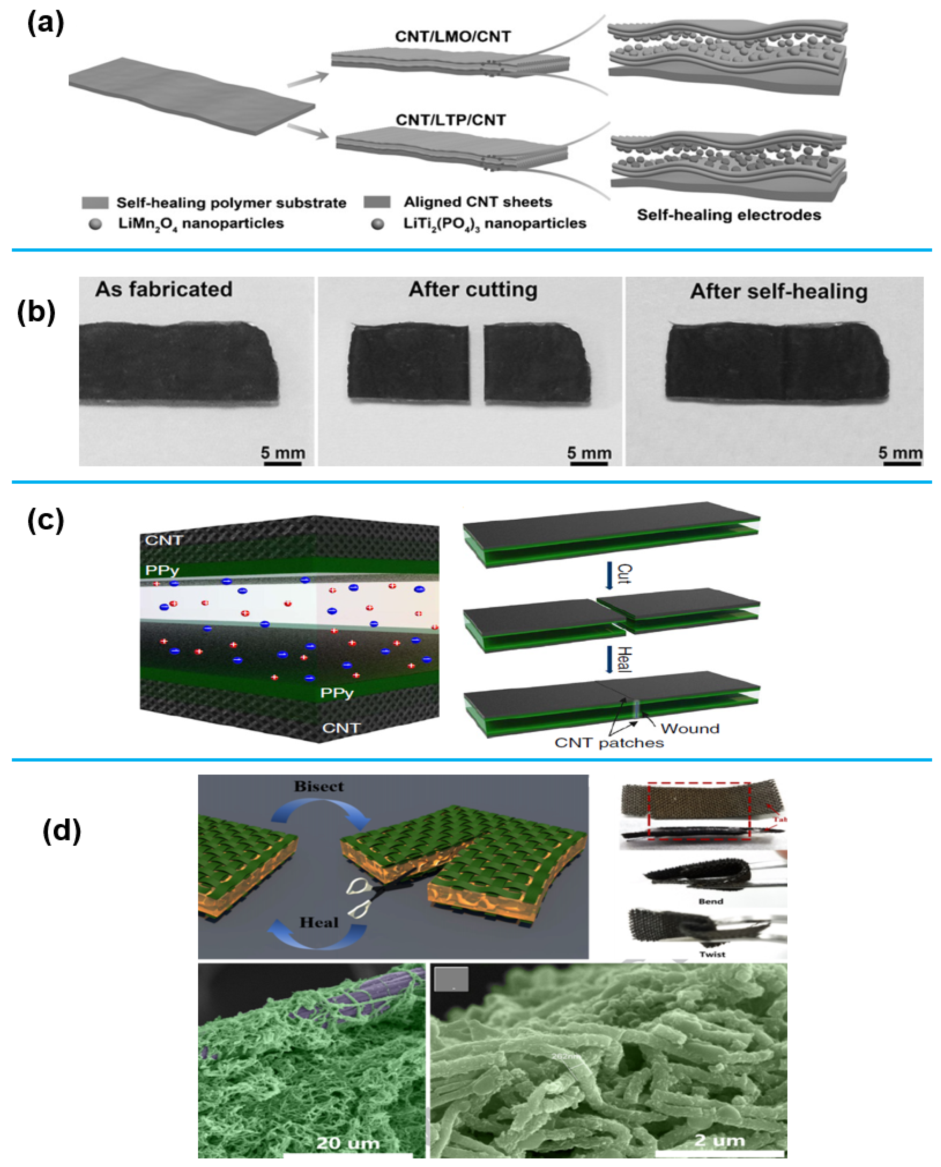 Sensors 25 02248 g006