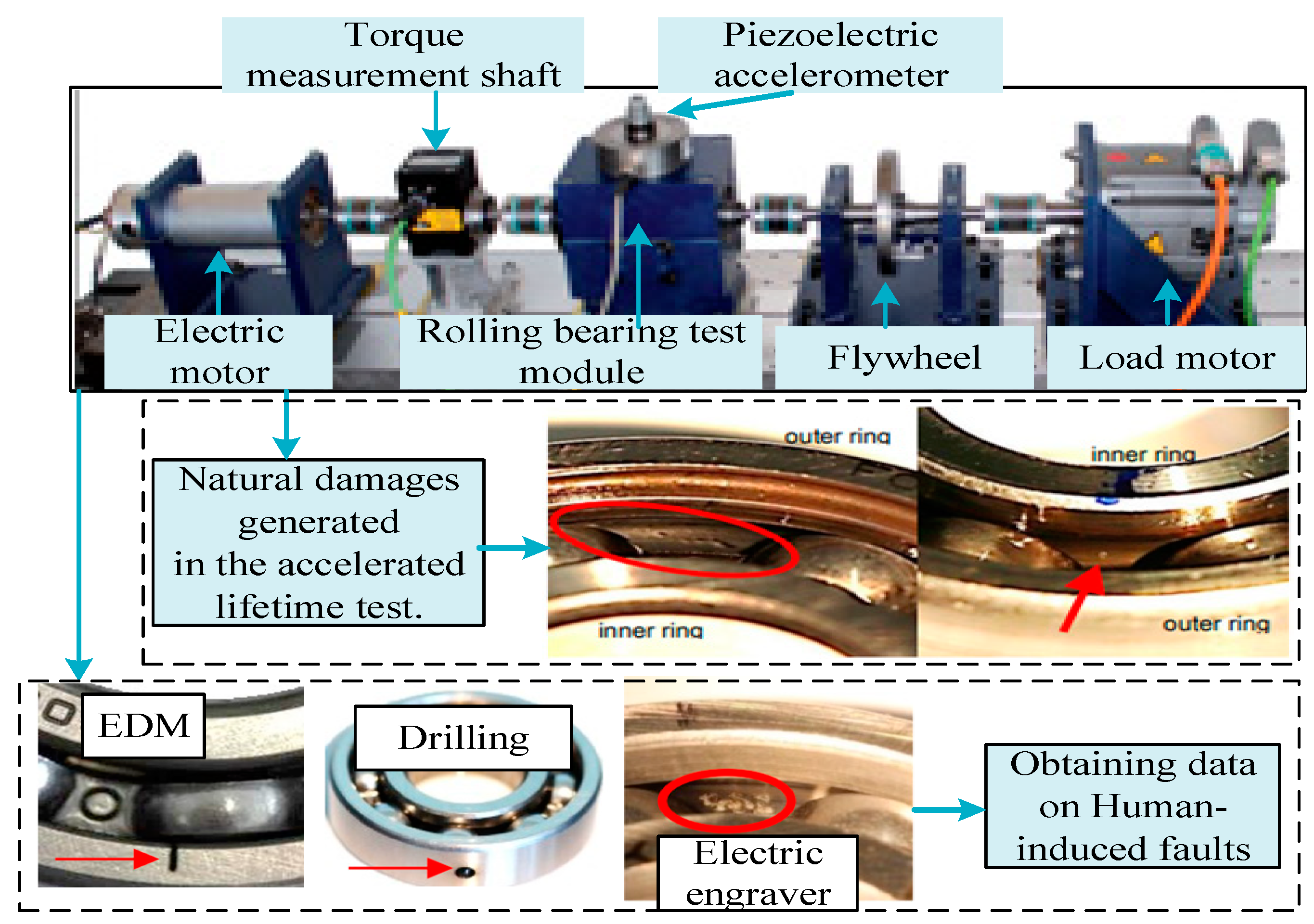 Sensors 25 02254 g005