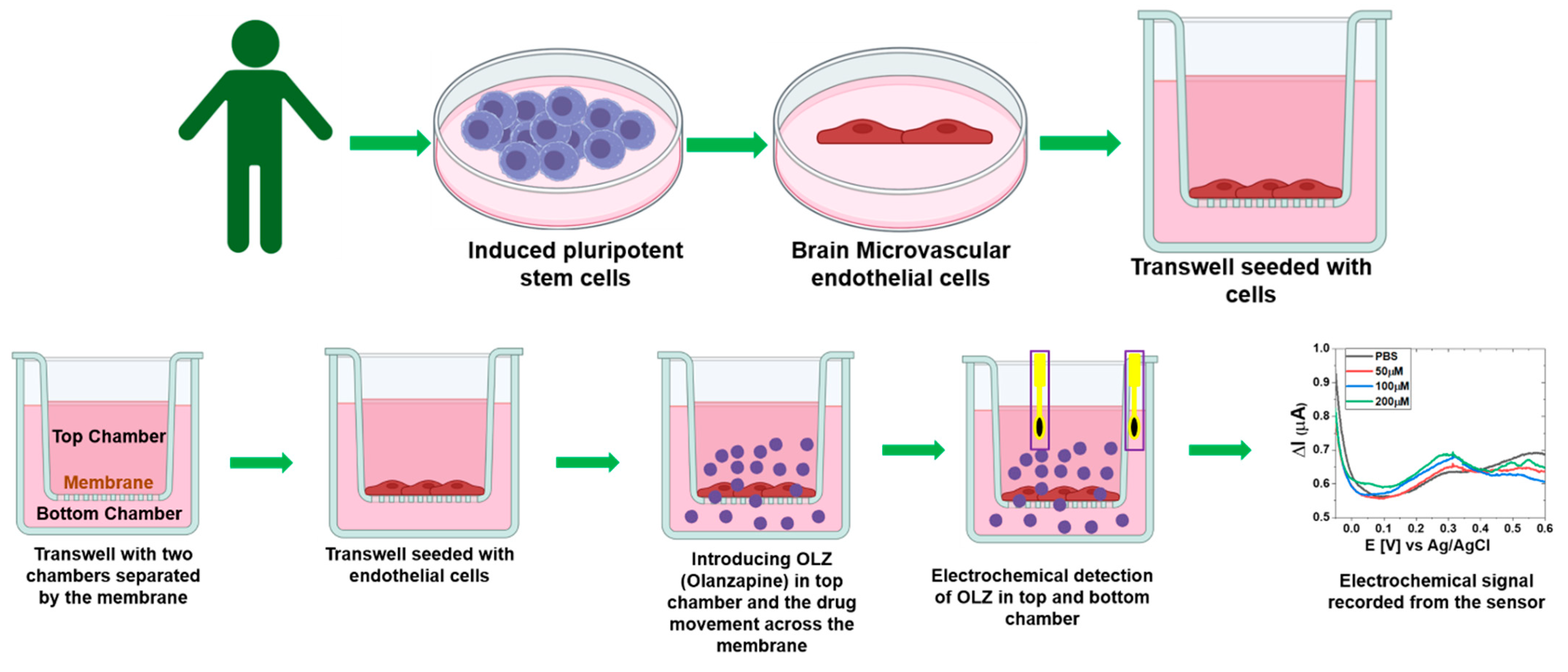 Sensors 25 02266 g001
