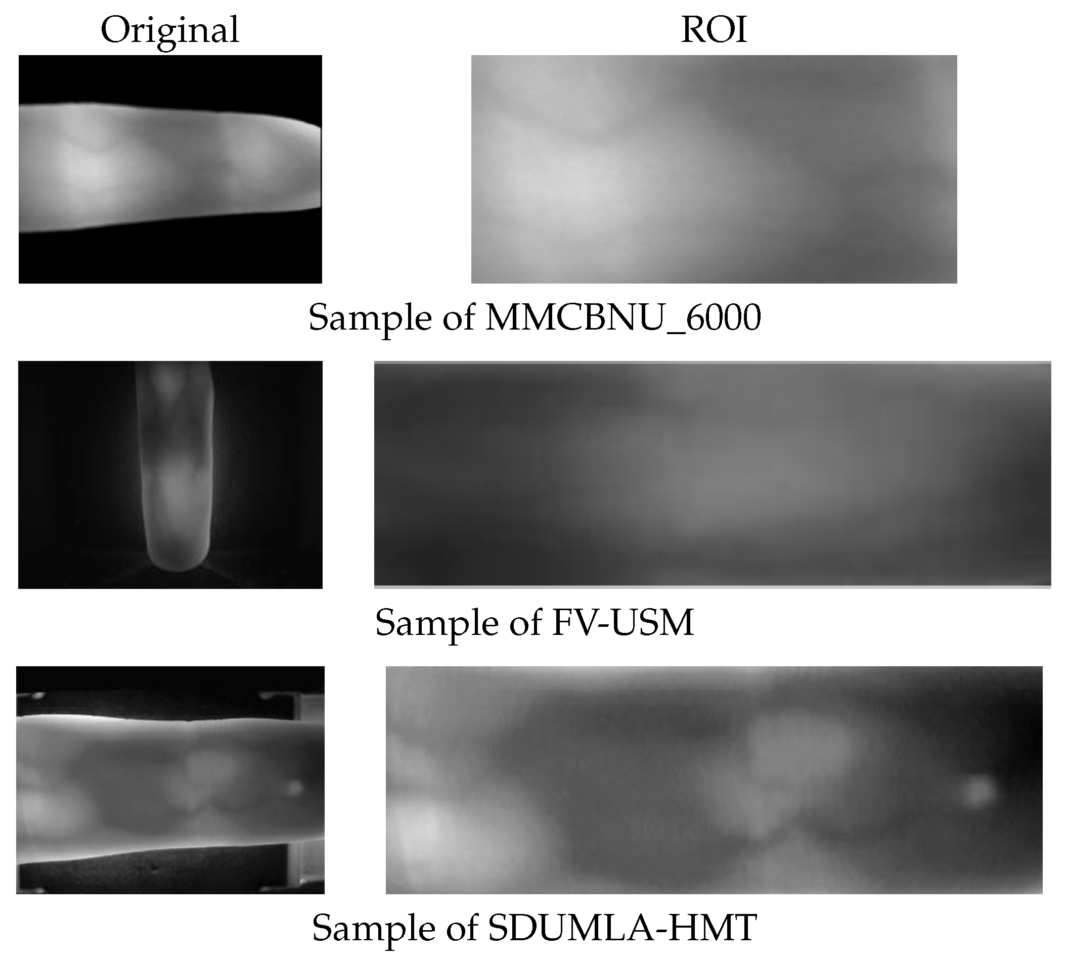 Sensors 25 02279 g005