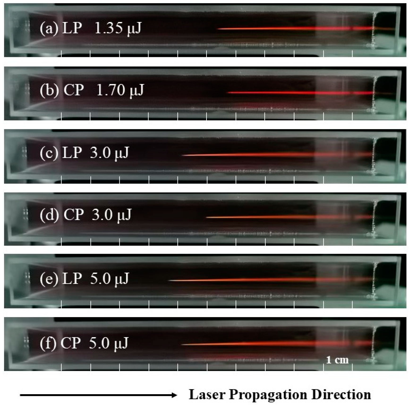 Sensors 25 02285 g002 Sensors 25 02285 g002