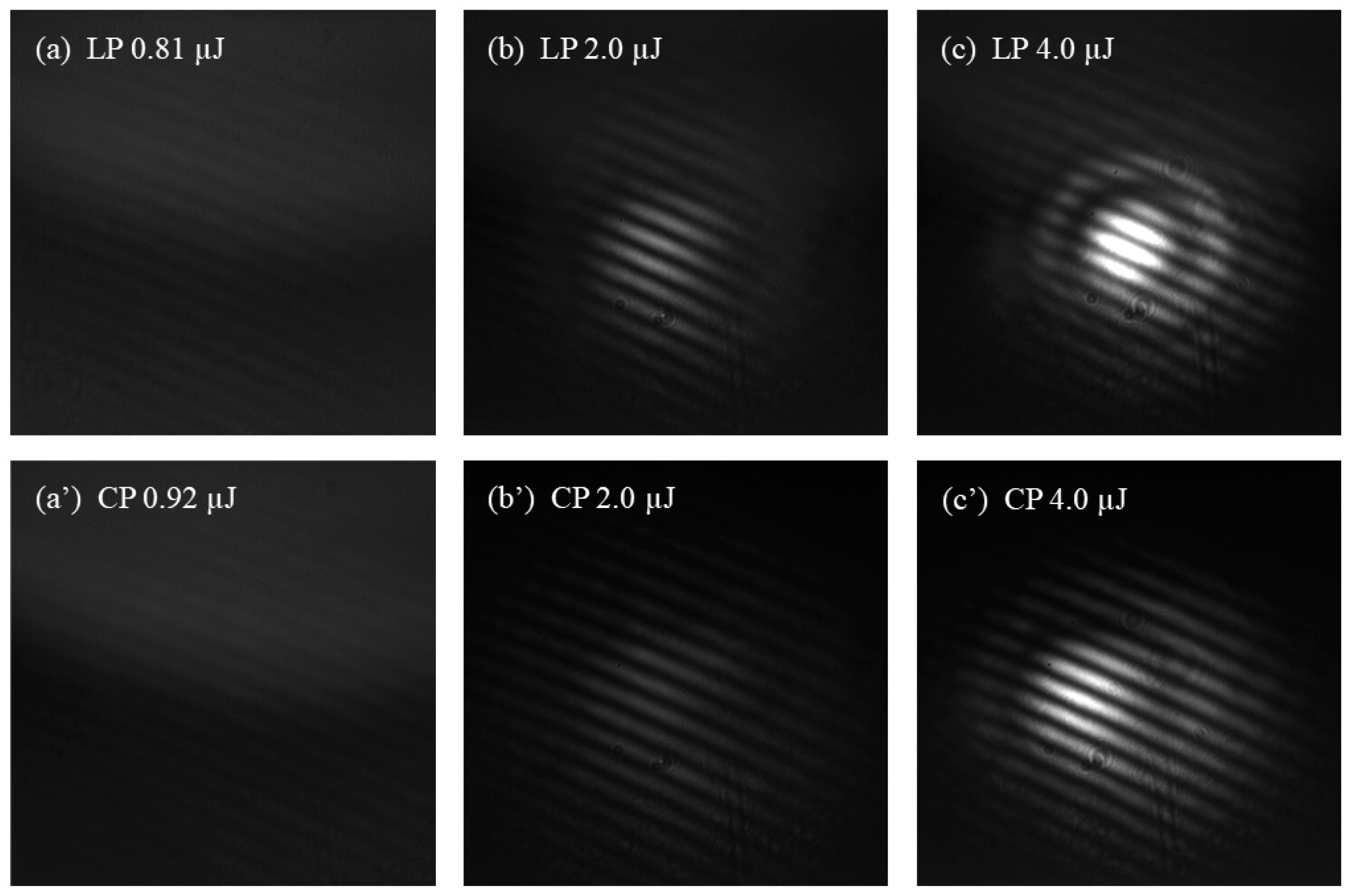 Sensors 25 02285 g005 Sensors 25 02285 g005