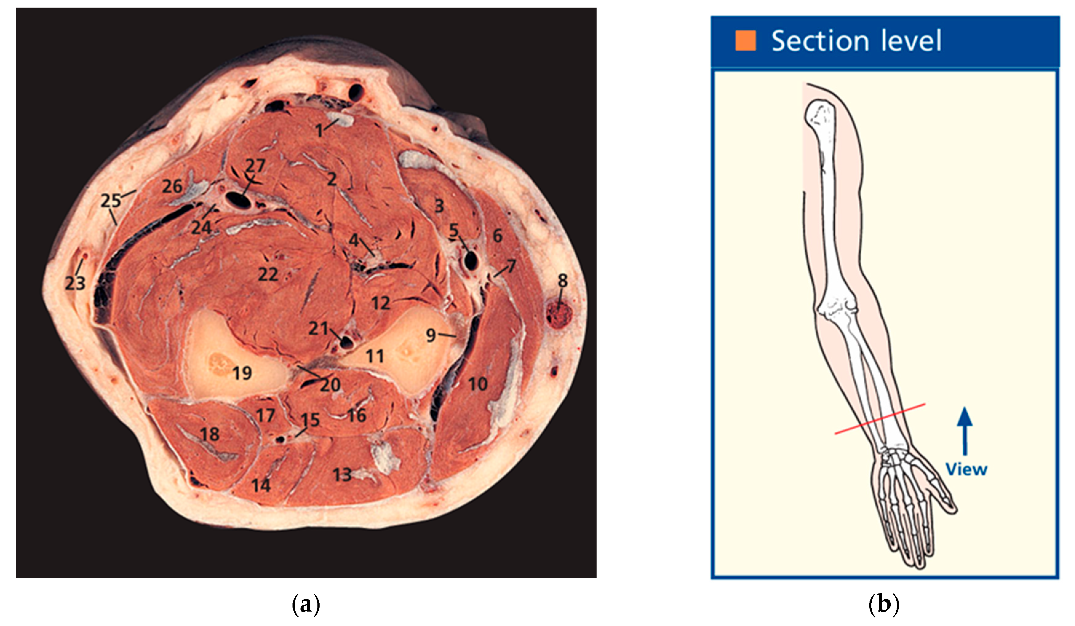 Sensors 25 02298 g002