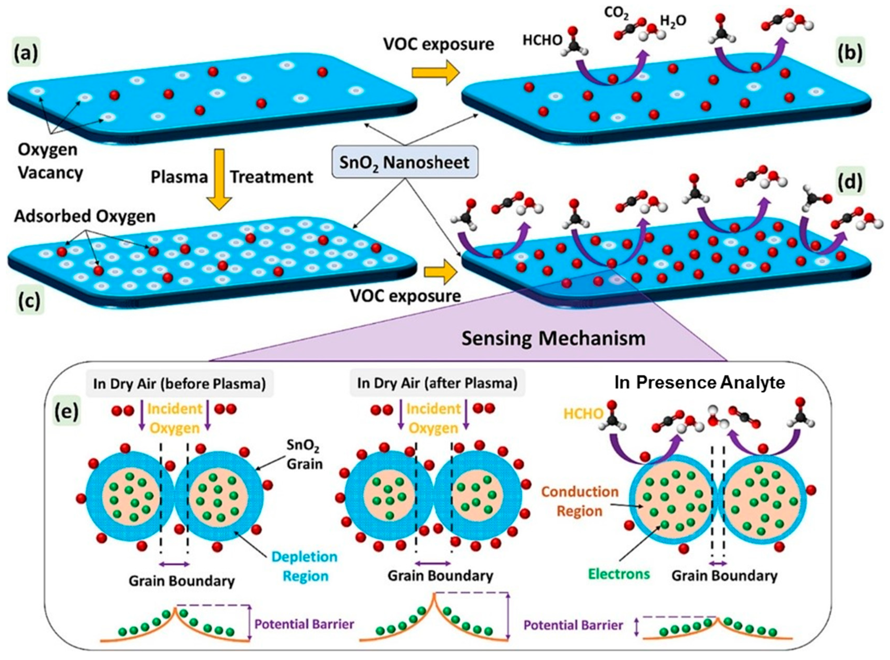 Sensors 25 02307 g008