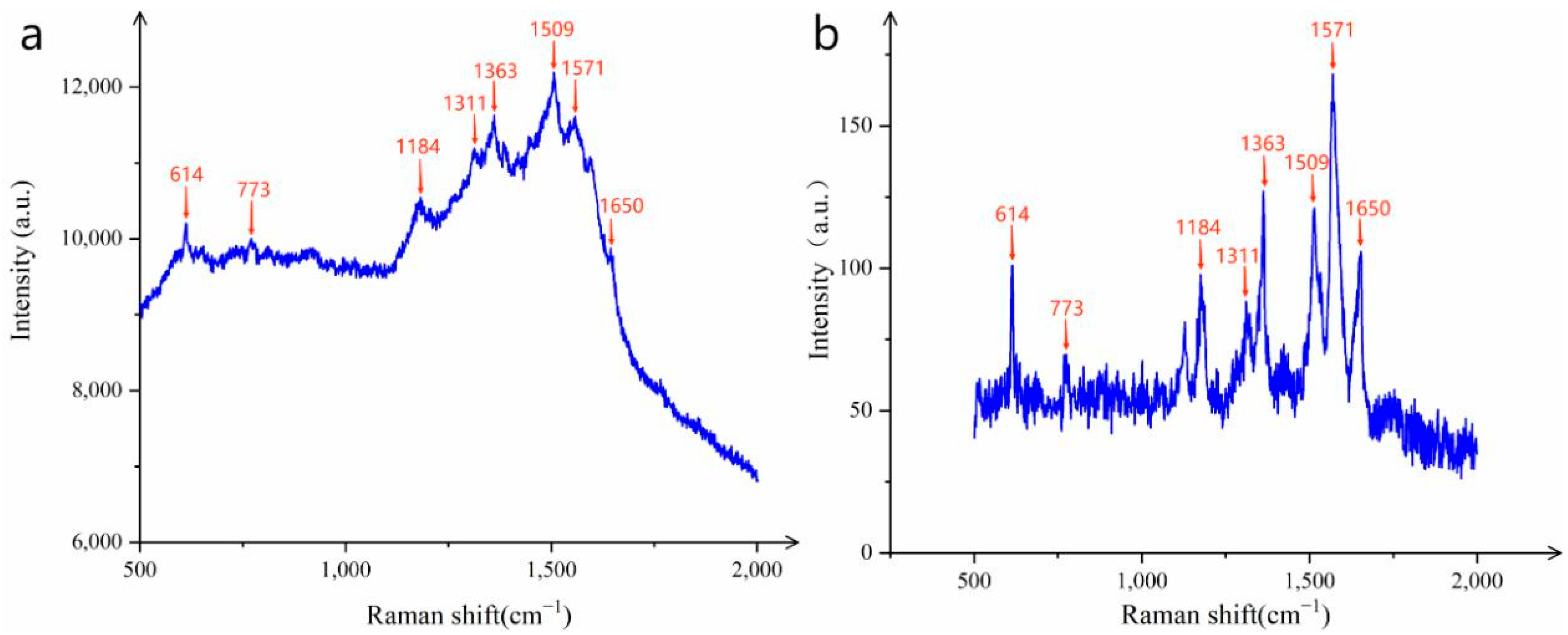 Sensors 25 02316 g007