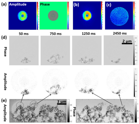 Dynamic Coherent Diffractive Imaging with Modulus Enforced