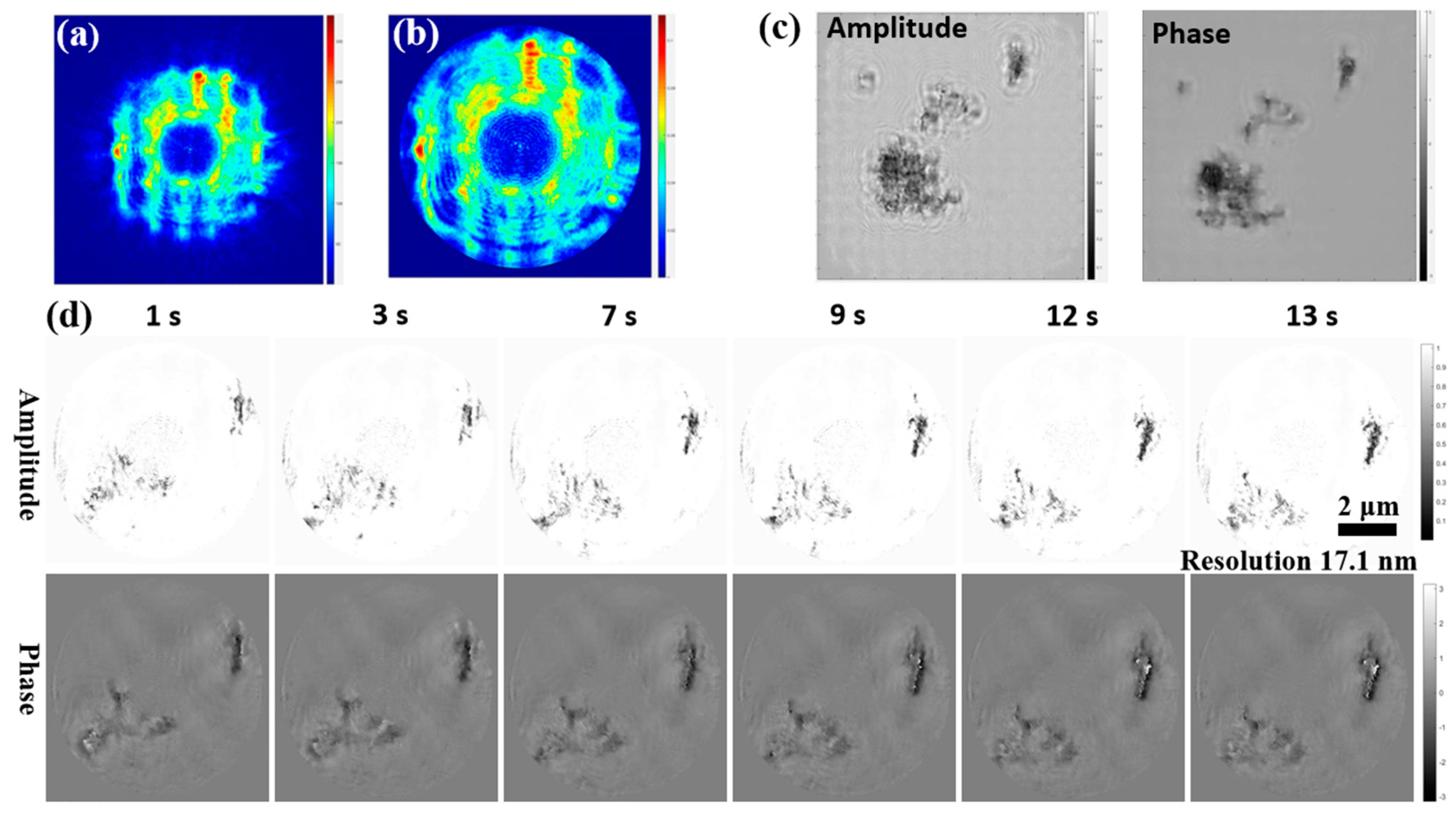 Sensors 25 02323 g011