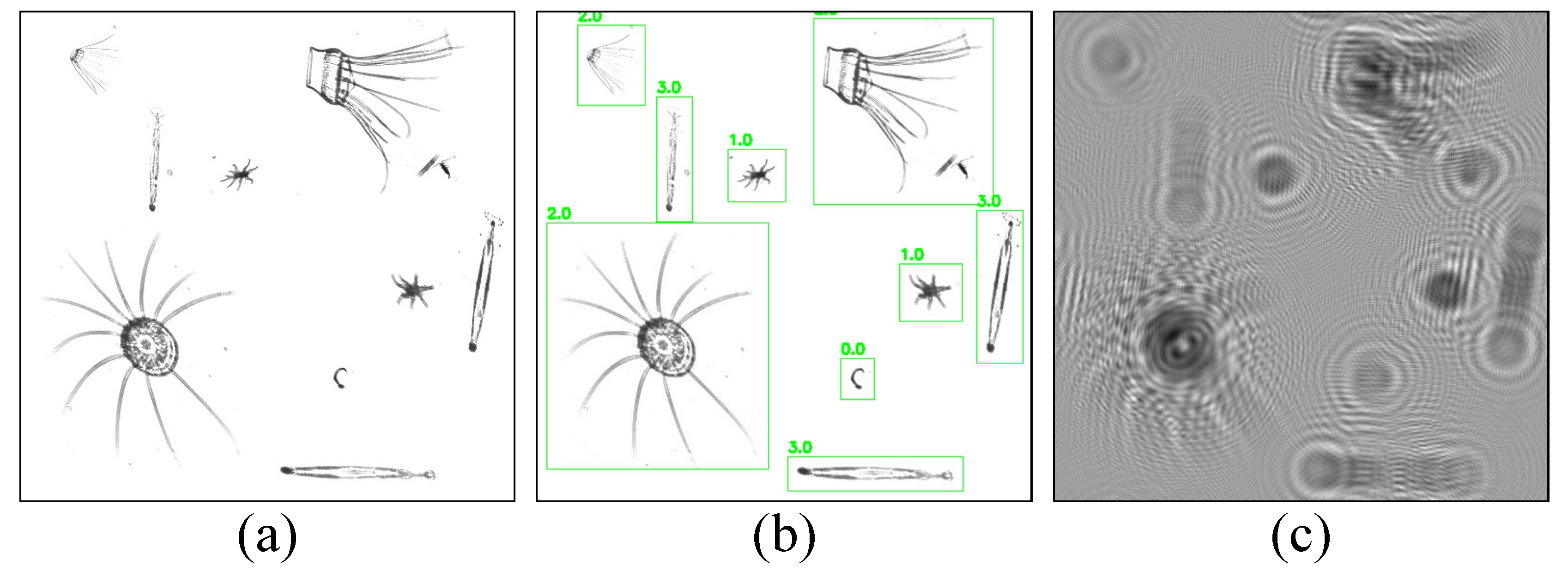 Sensors 25 02325 g003