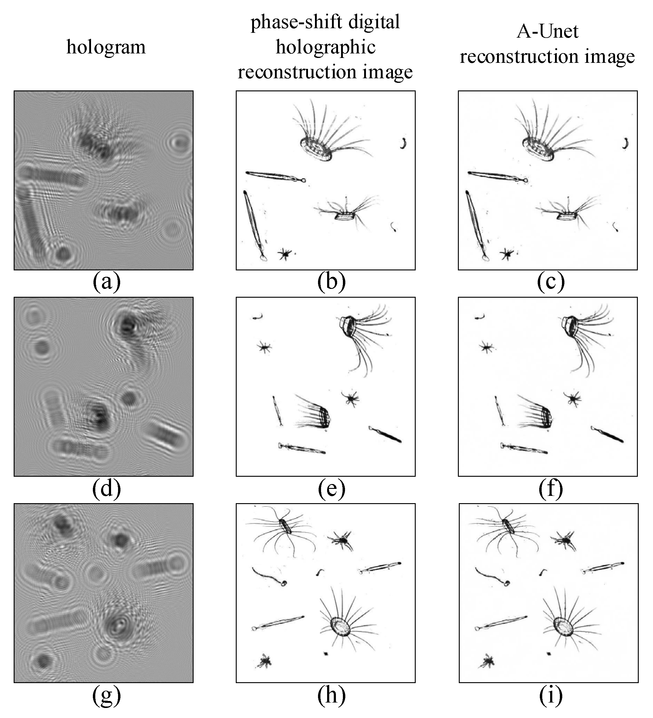 Sensors 25 02325 g007