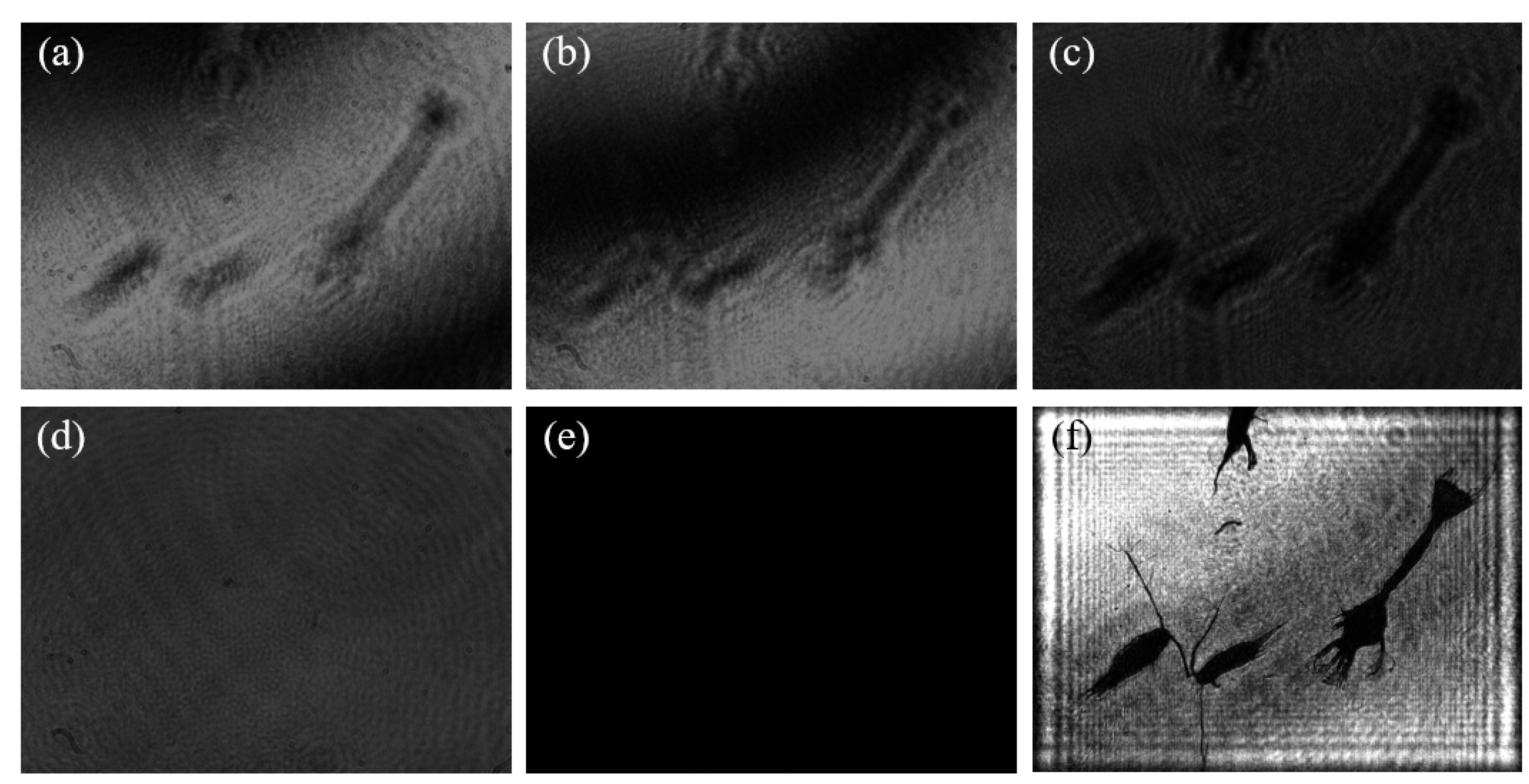 Sensors 25 02325 g013