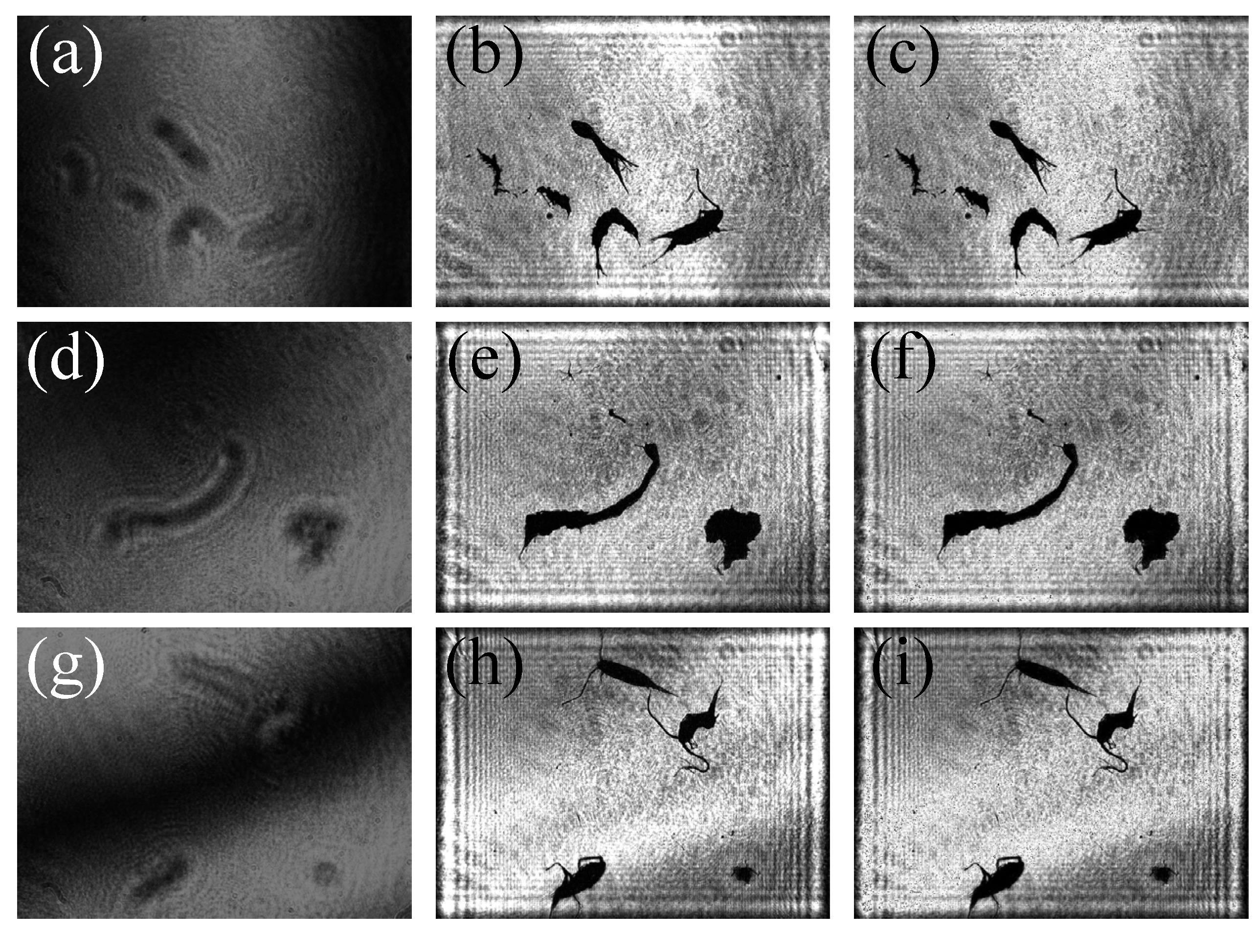 Sensors 25 02325 g014