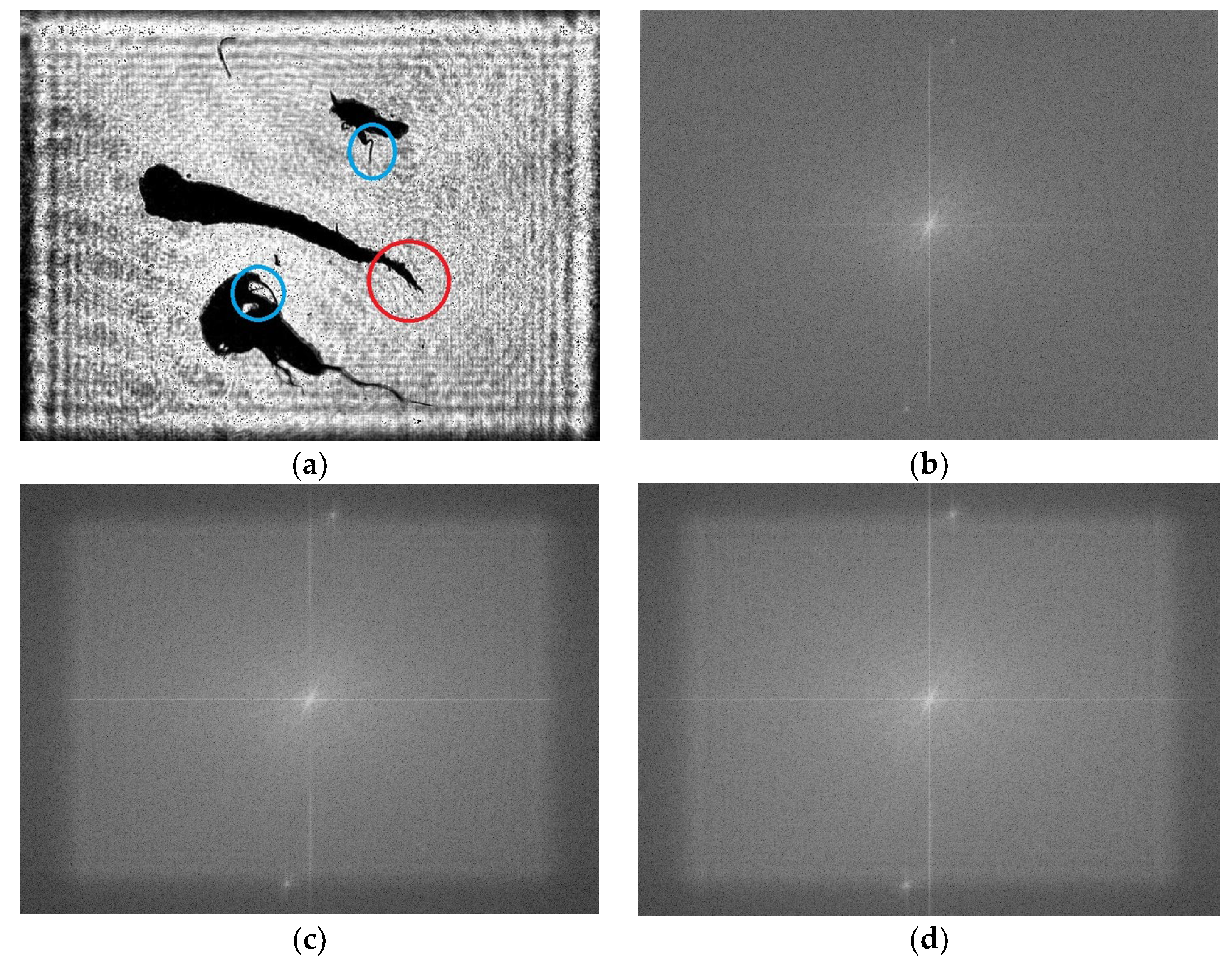 Sensors 25 02325 g016