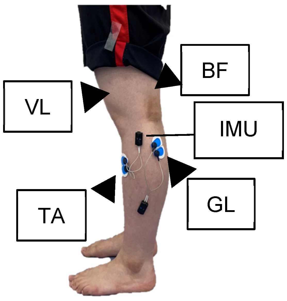 Sensors 25 02327 g001