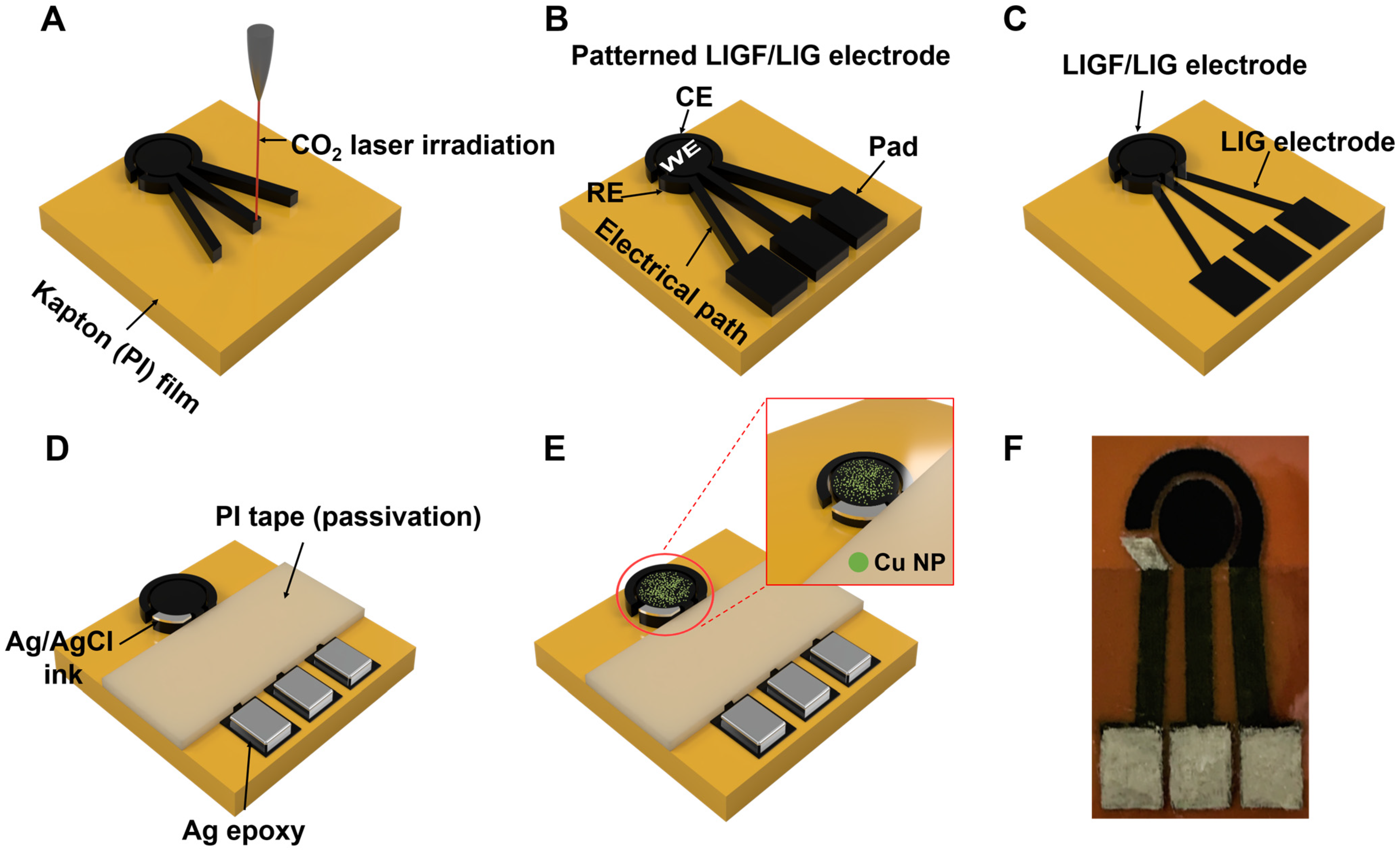 Sensors 25 02341 g001
