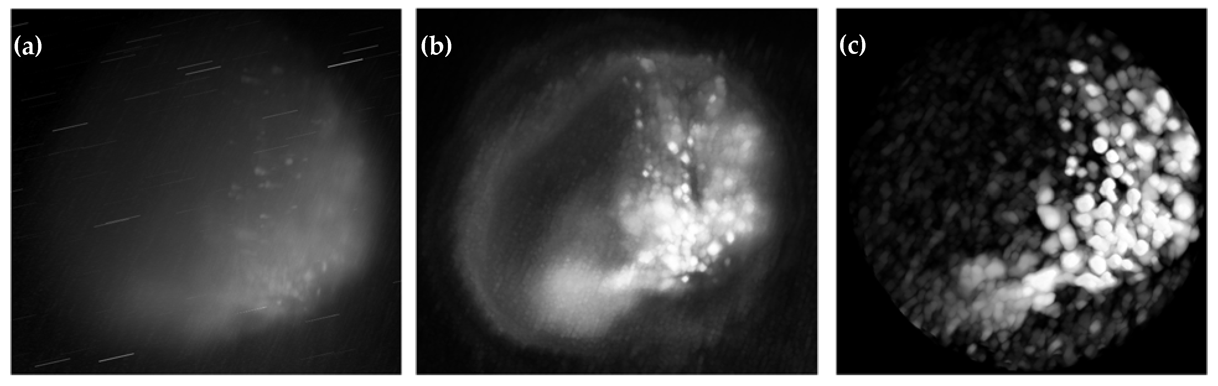 Sensors 25 02386 g009