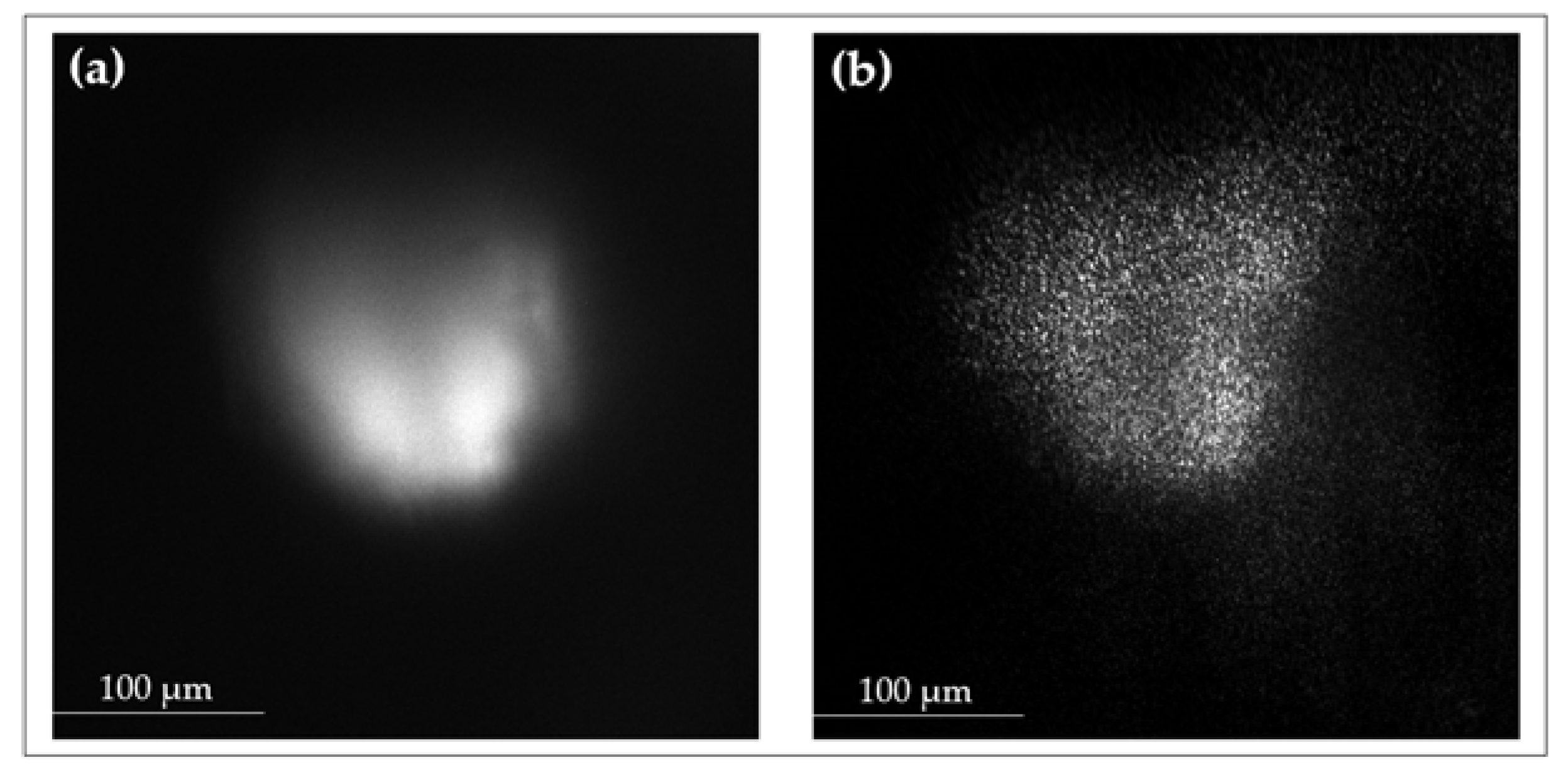 Sensors 25 02386 g010