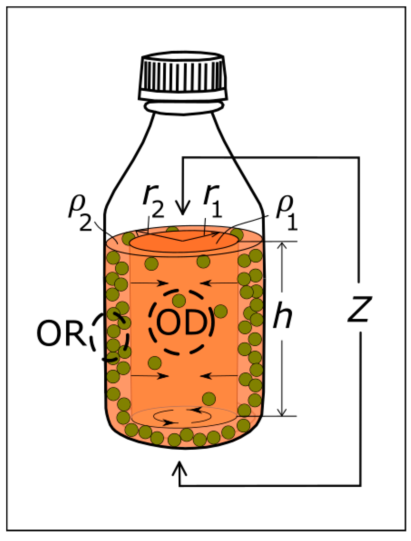 Sensors 25 02427 g007