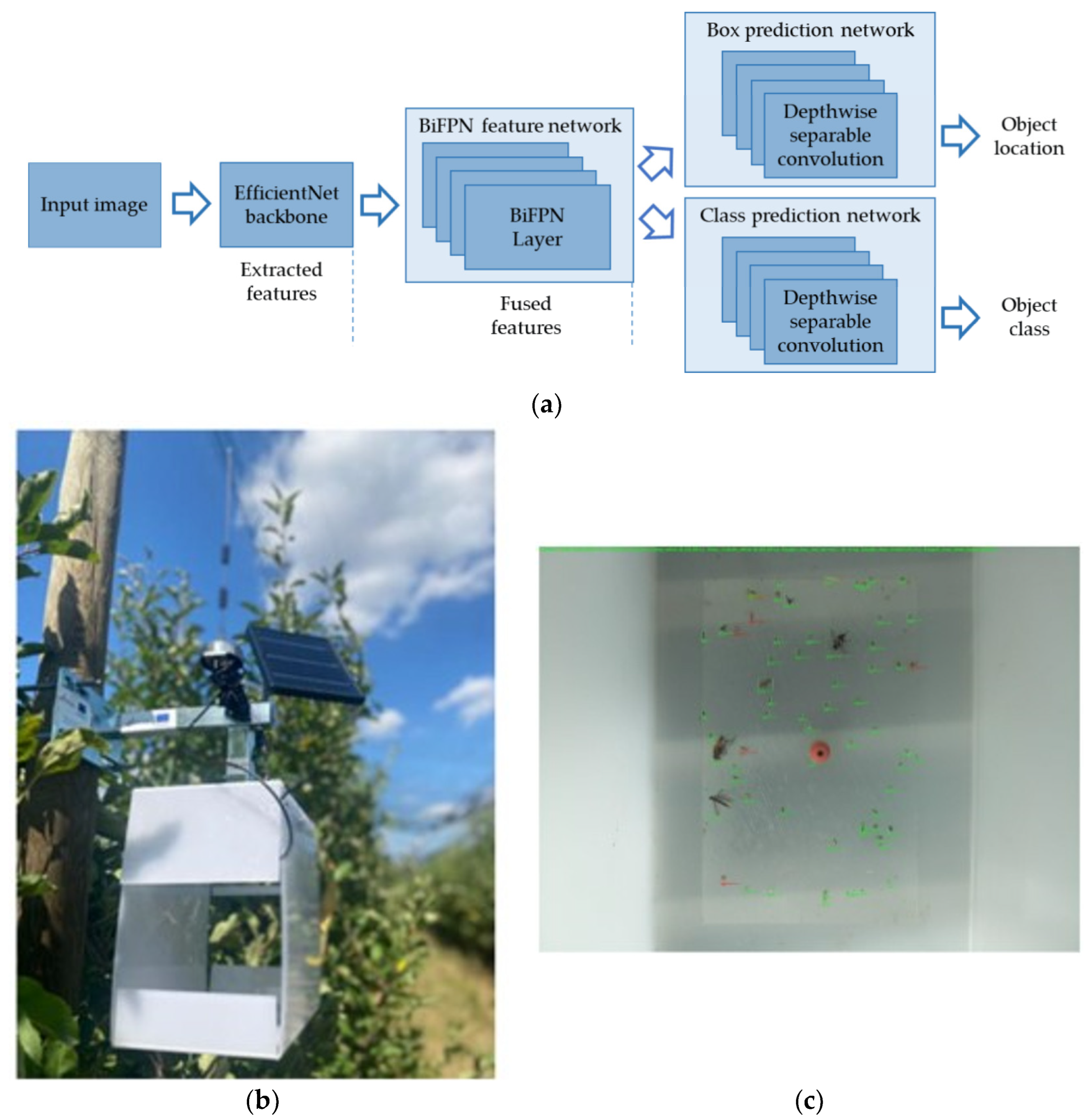 Sensors 25 02433 g002