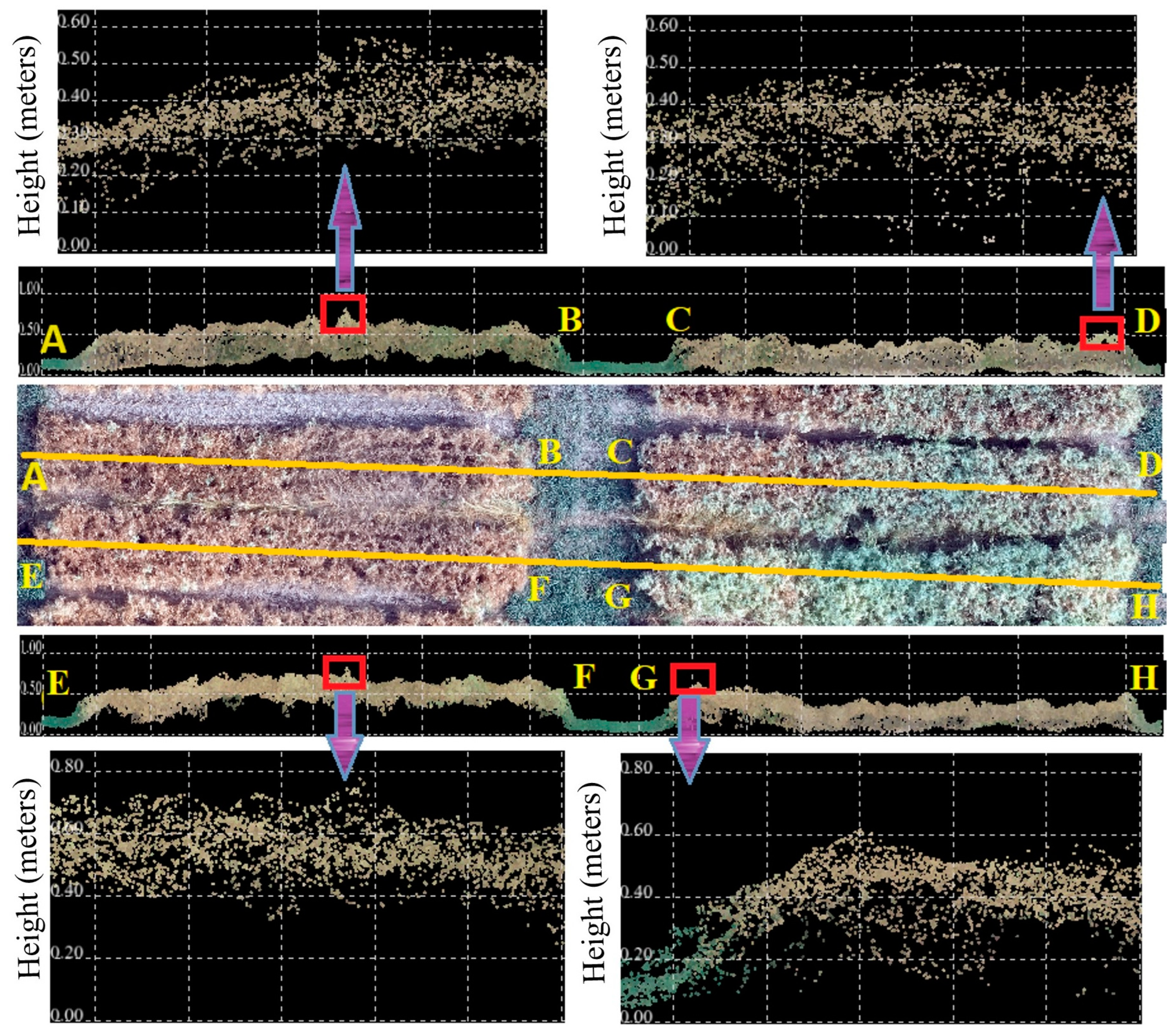 Sensors 25 02436 g010