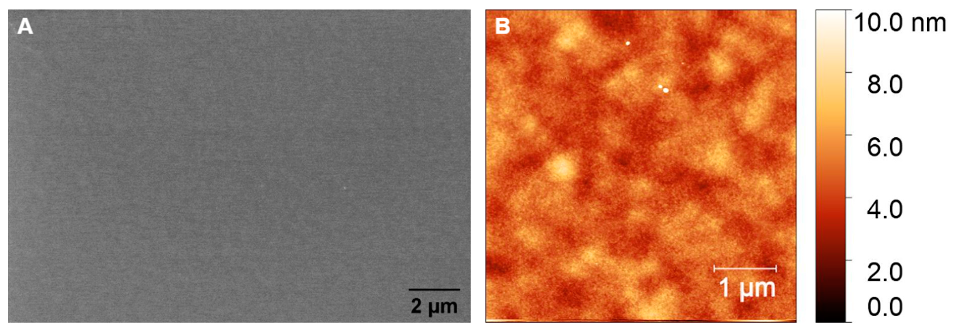 Sensors 25 02454 g006