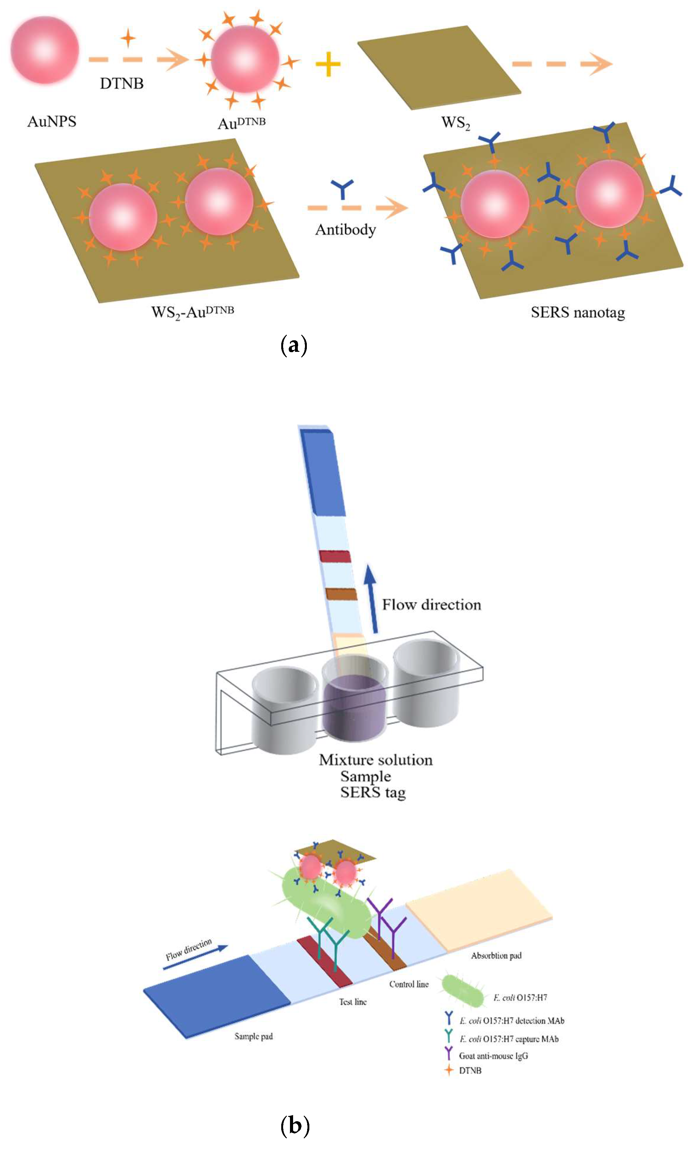 Sensors 25 02457 g001