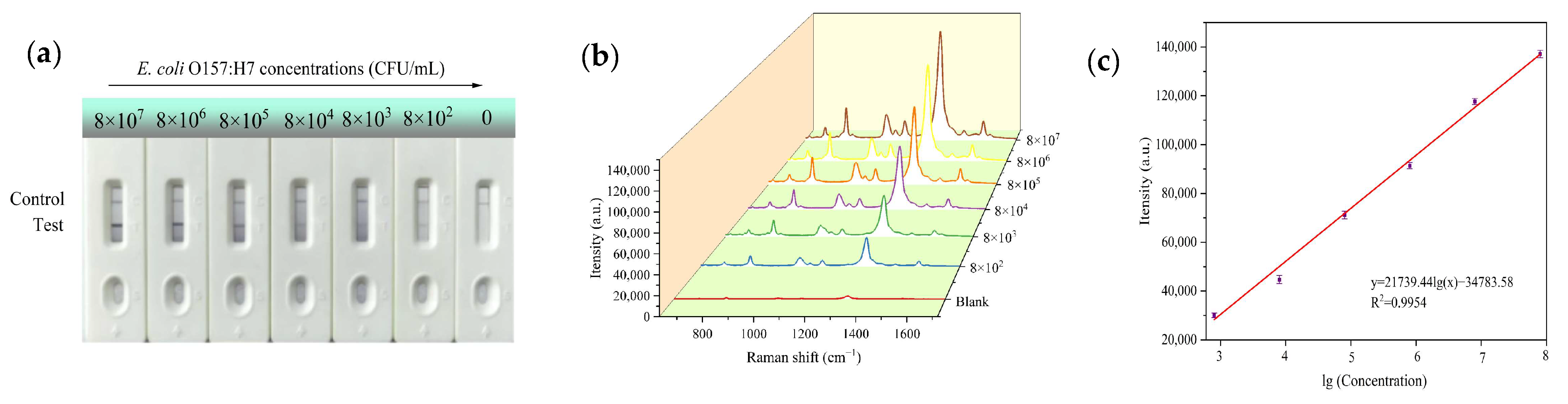 Sensors 25 02457 g004