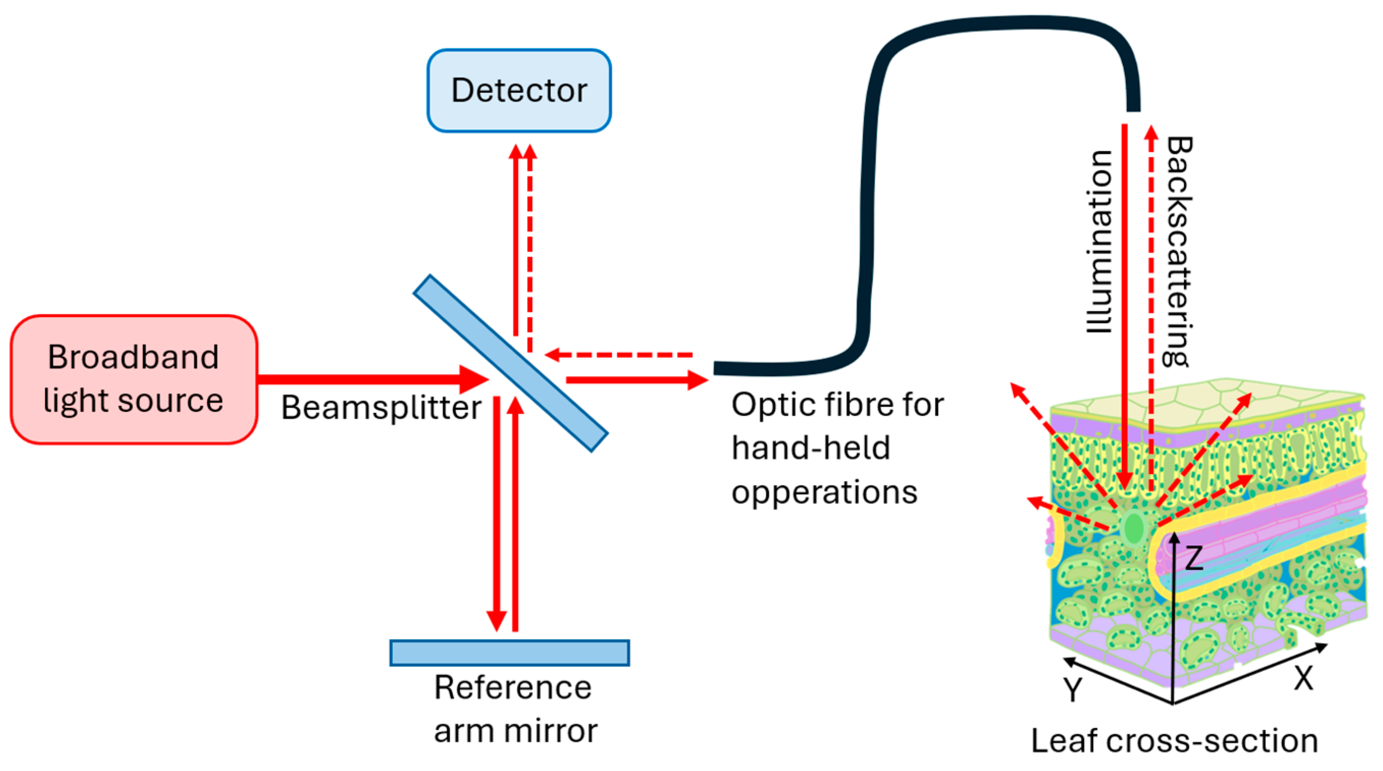 Sensors 25 02467 g001