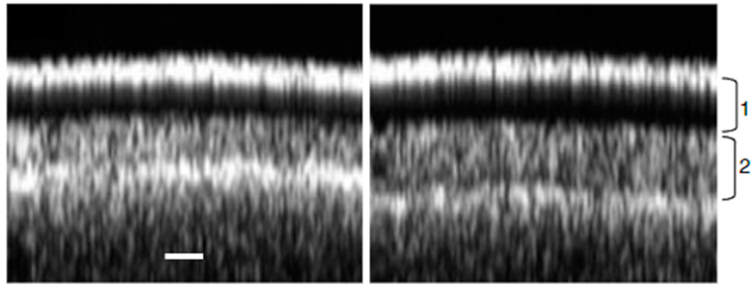 Sensors 25 02467 g003