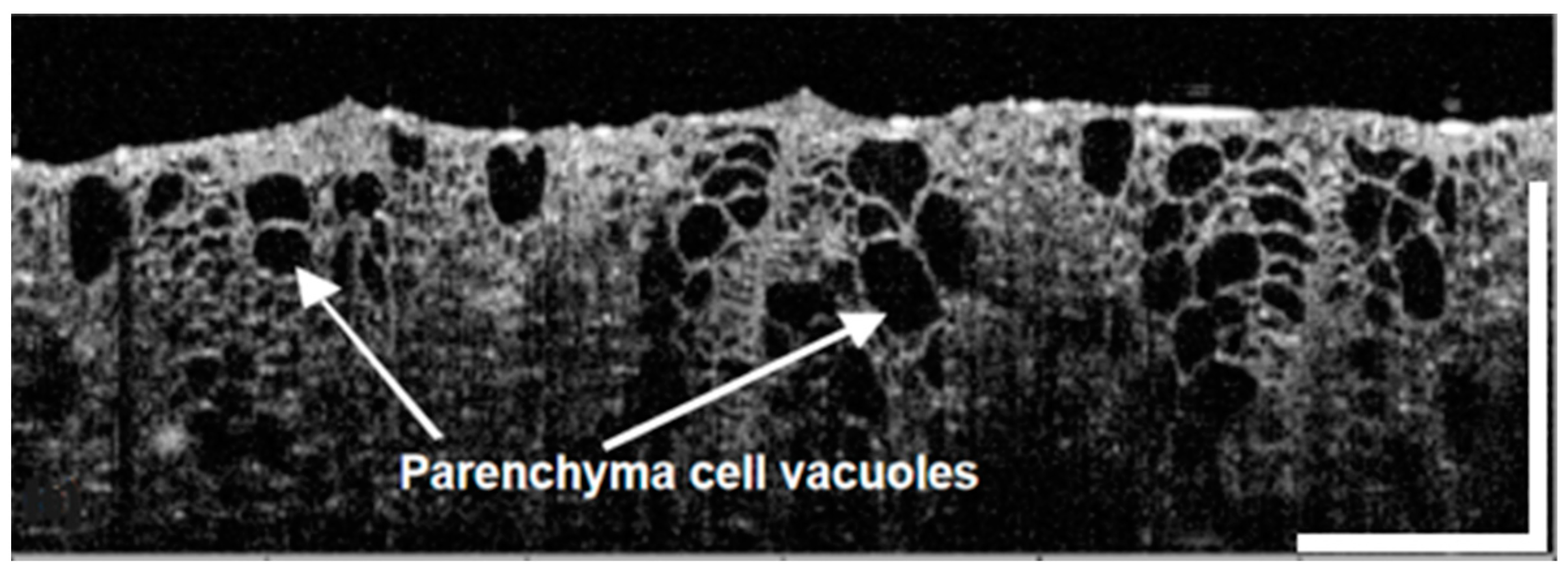 Sensors 25 02467 g004