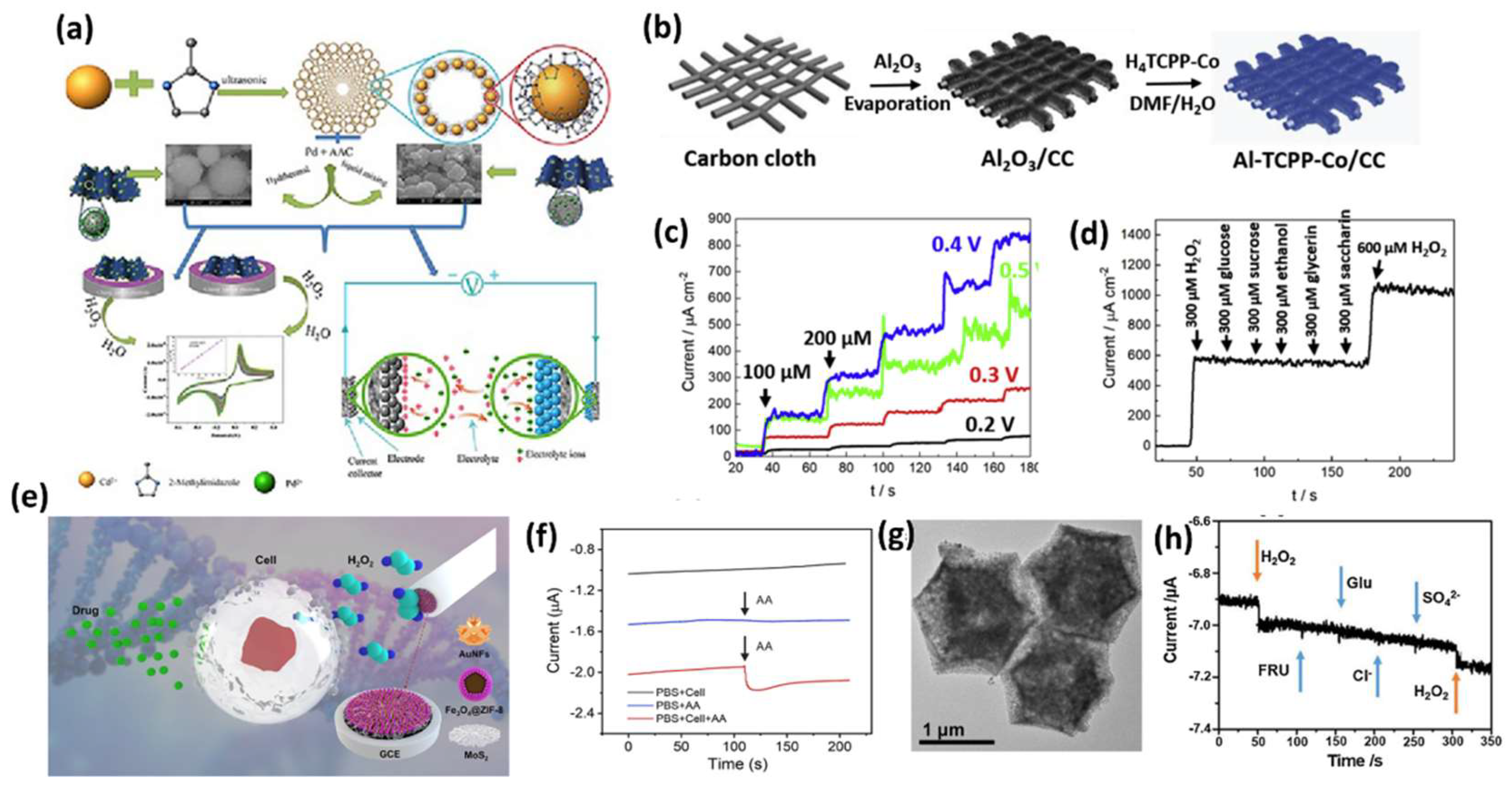 Sensors 25 02473 g013