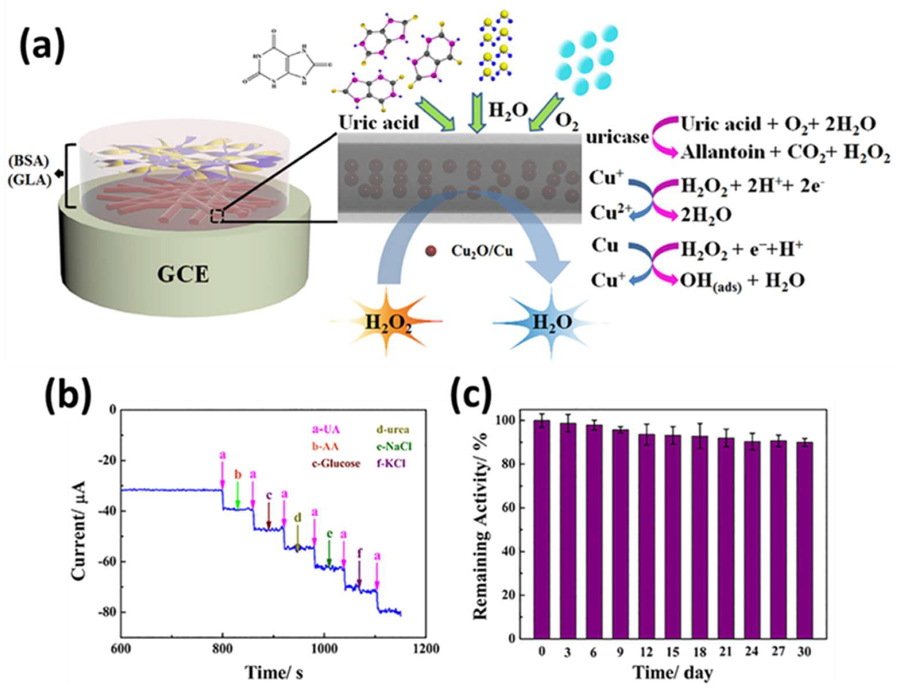 Sensors 25 02473 g015