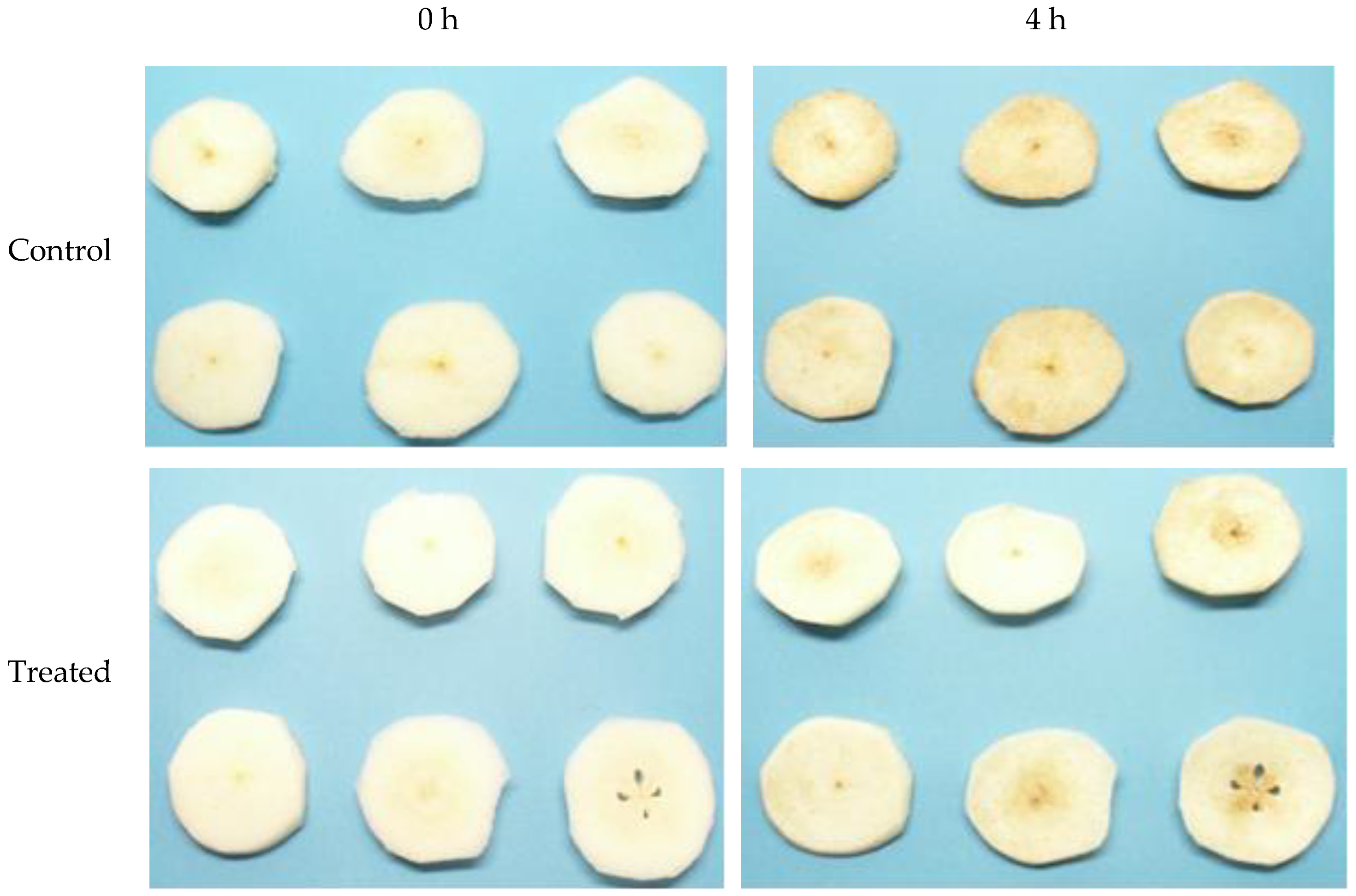 Sensors 25 02482 g002