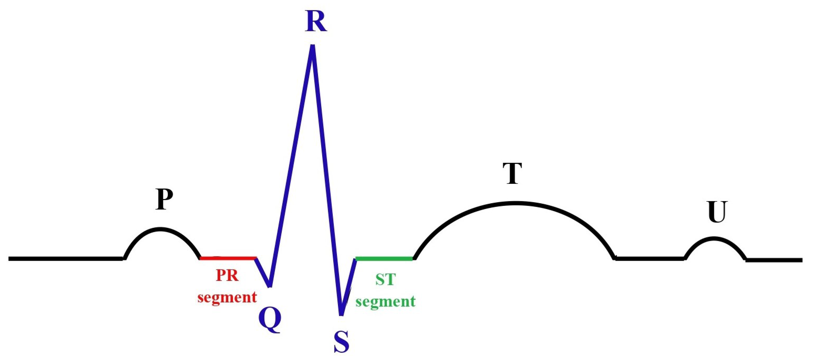 Sensors 25 02496 g002