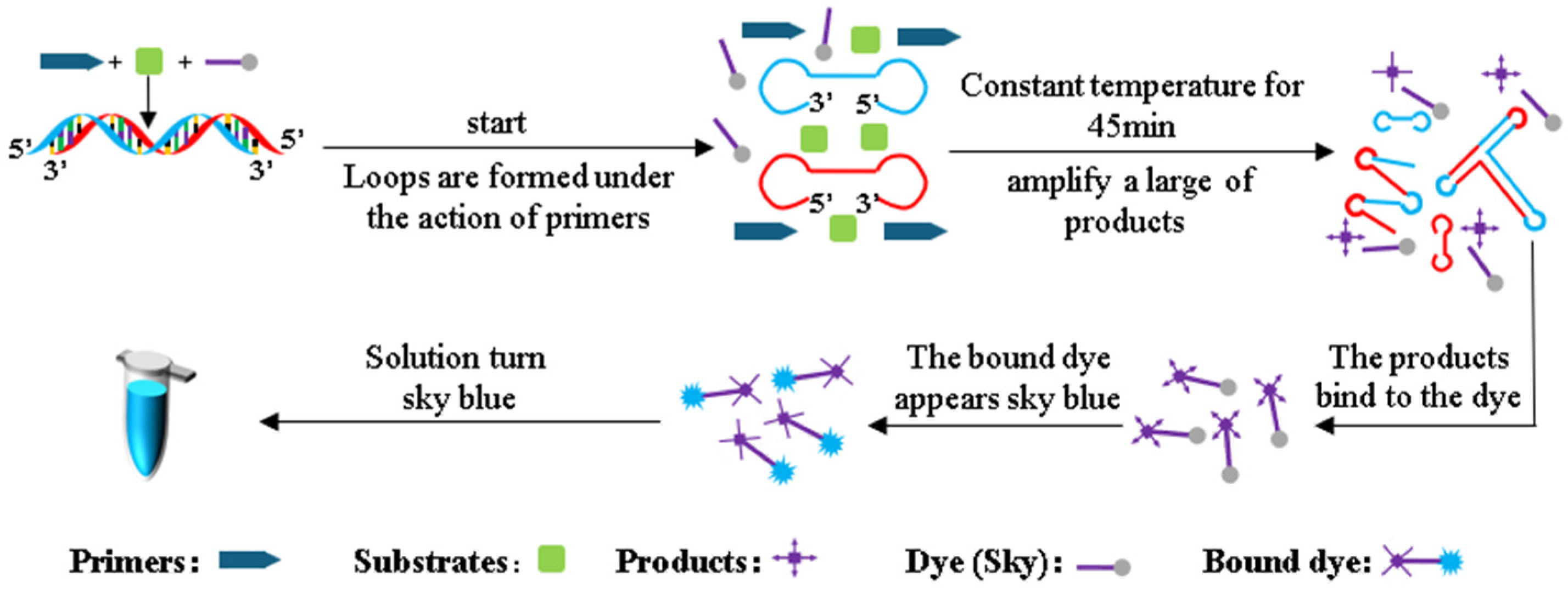 Sensors 25 02511 g003