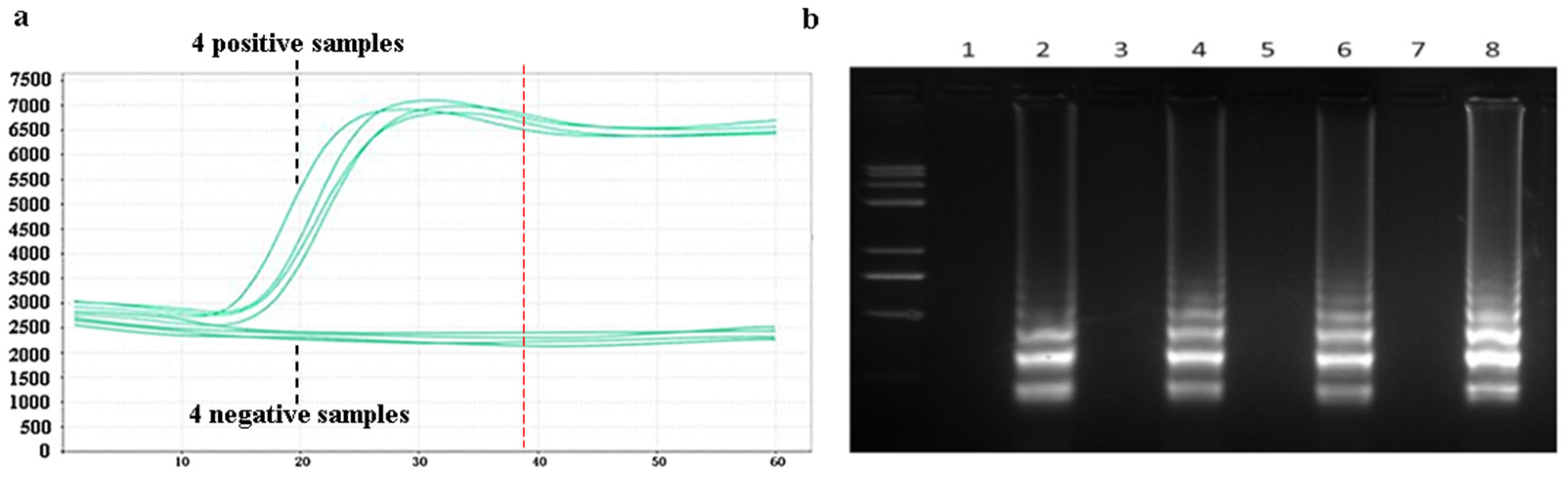 Sensors 25 02511 g008