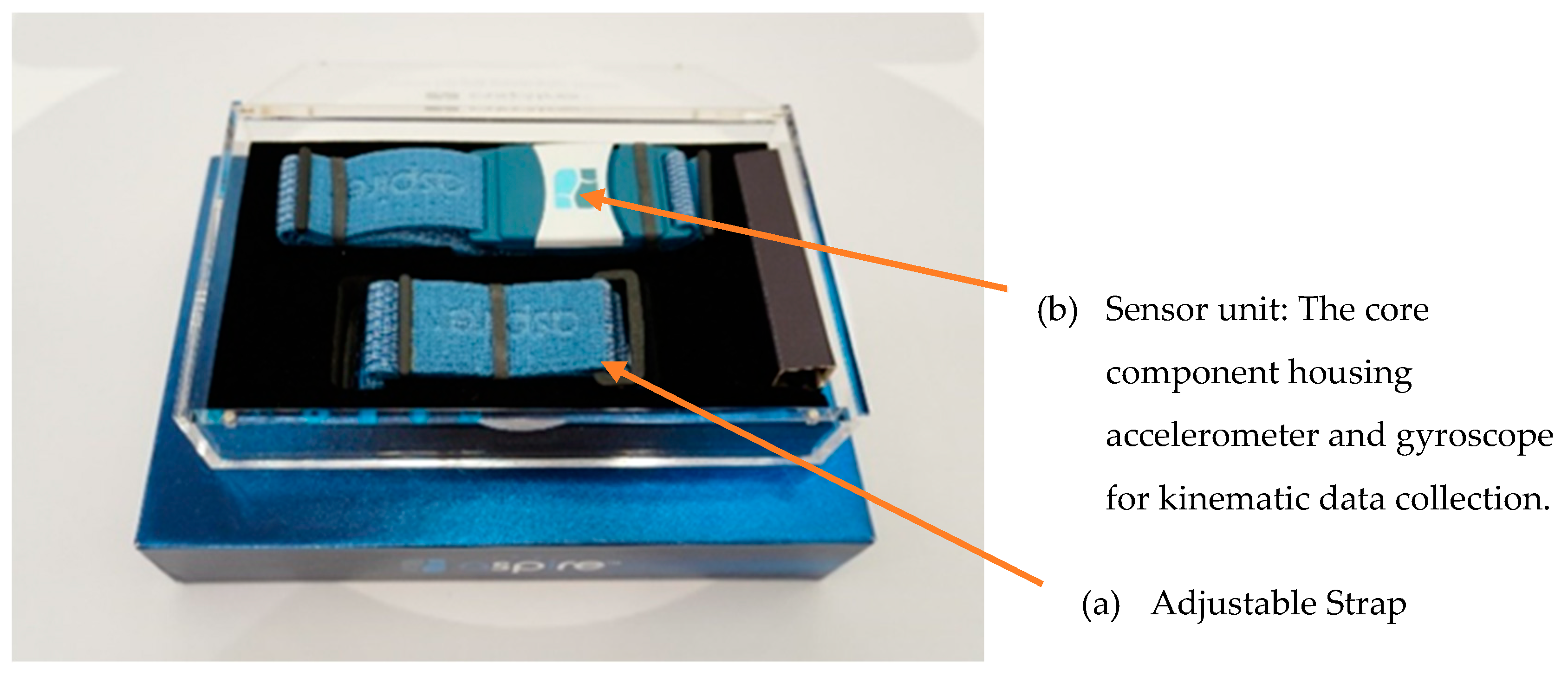 Sensors 25 02516 g001