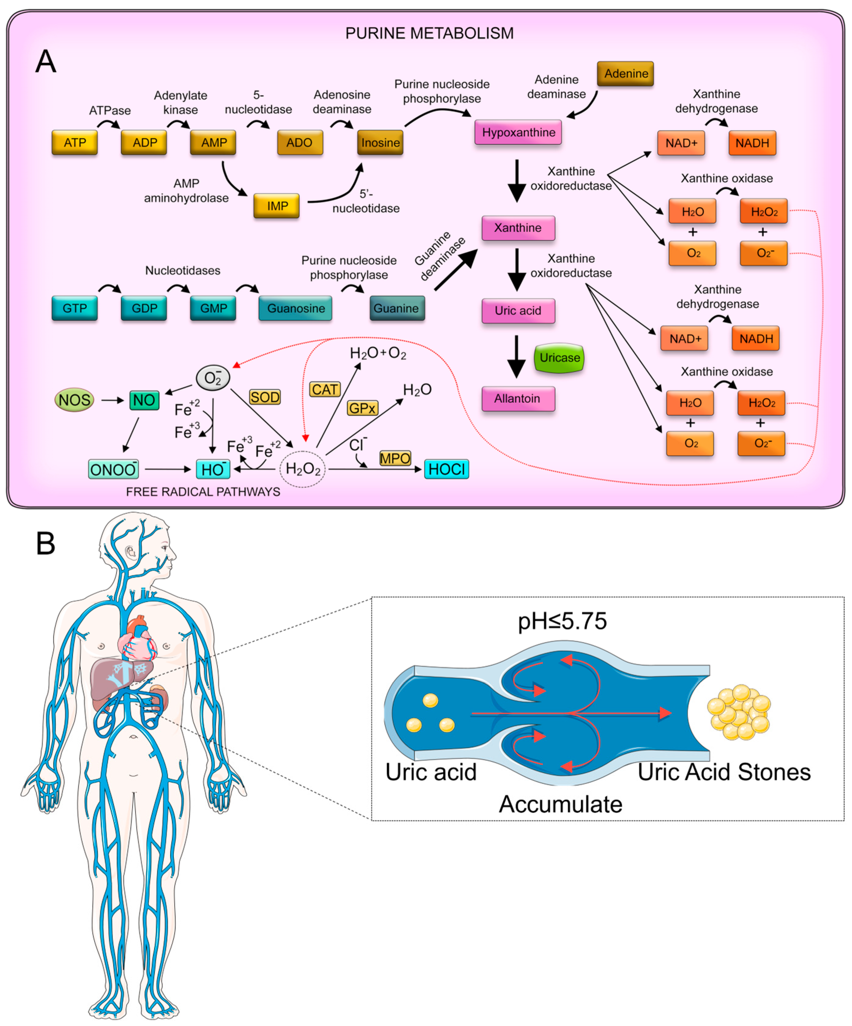Sensors 25 02547 g004 Sensors 25 02547 g004